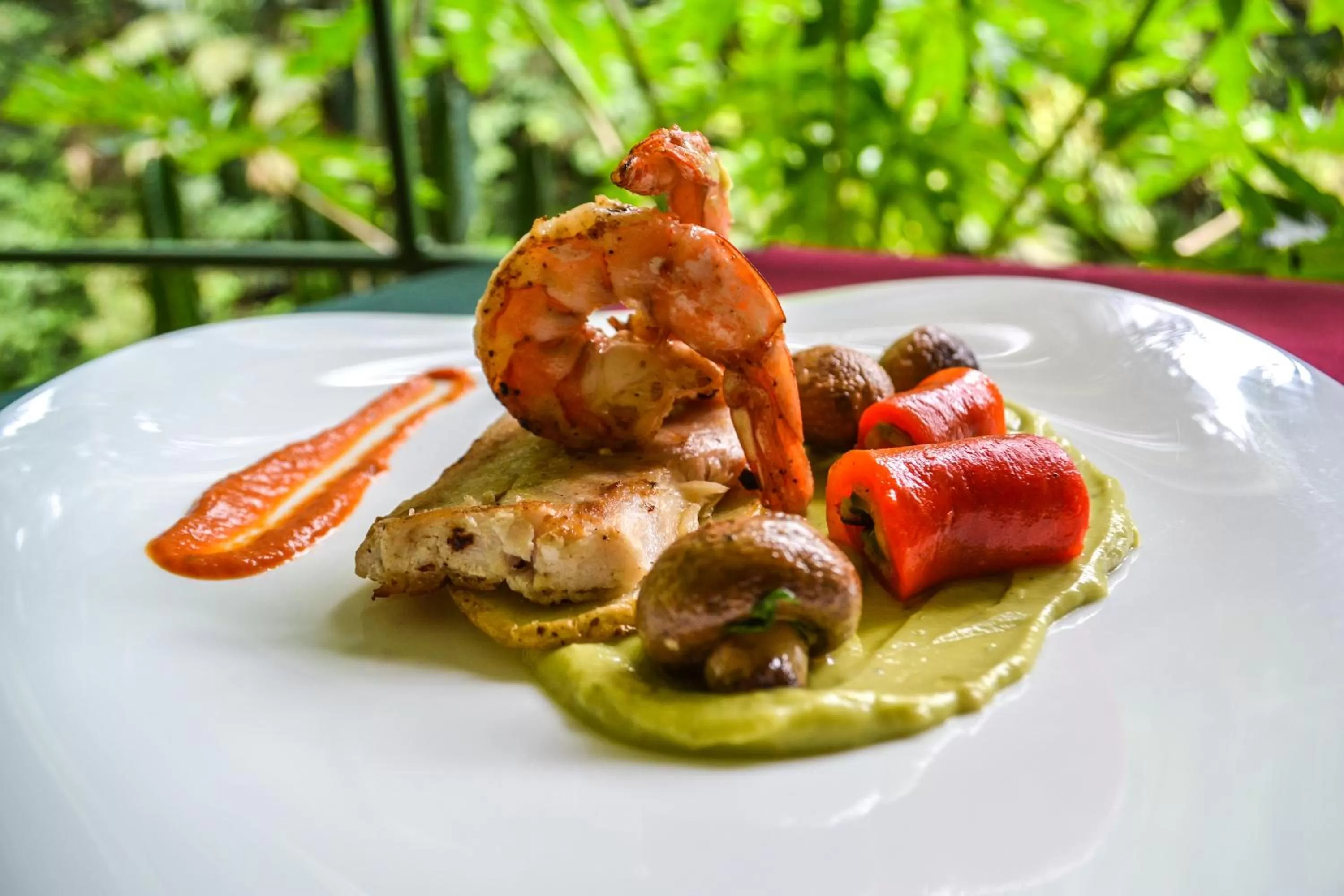 Food in El Tucano Resort & Thermal Spa