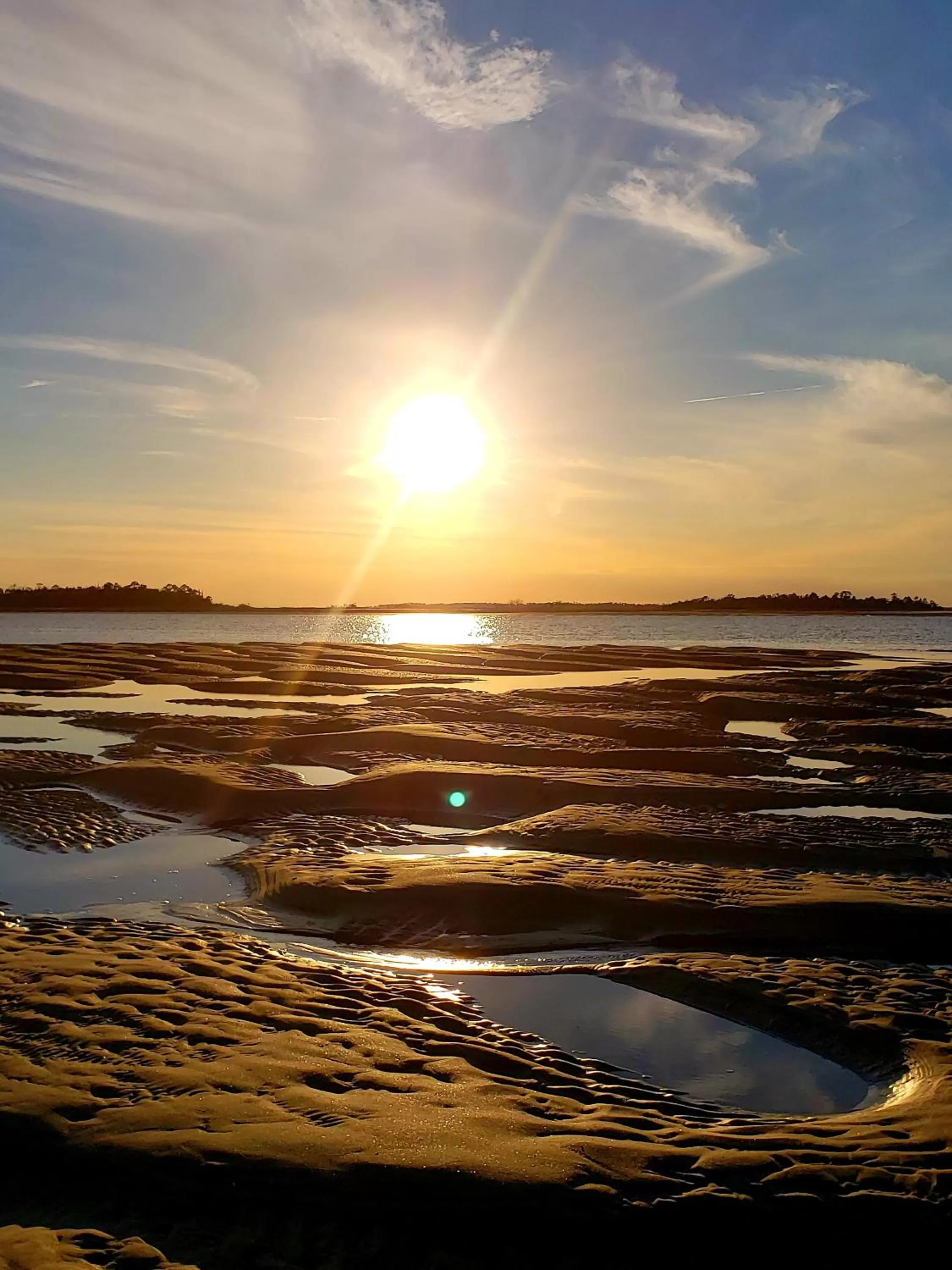 Beach in Hotel Tybee