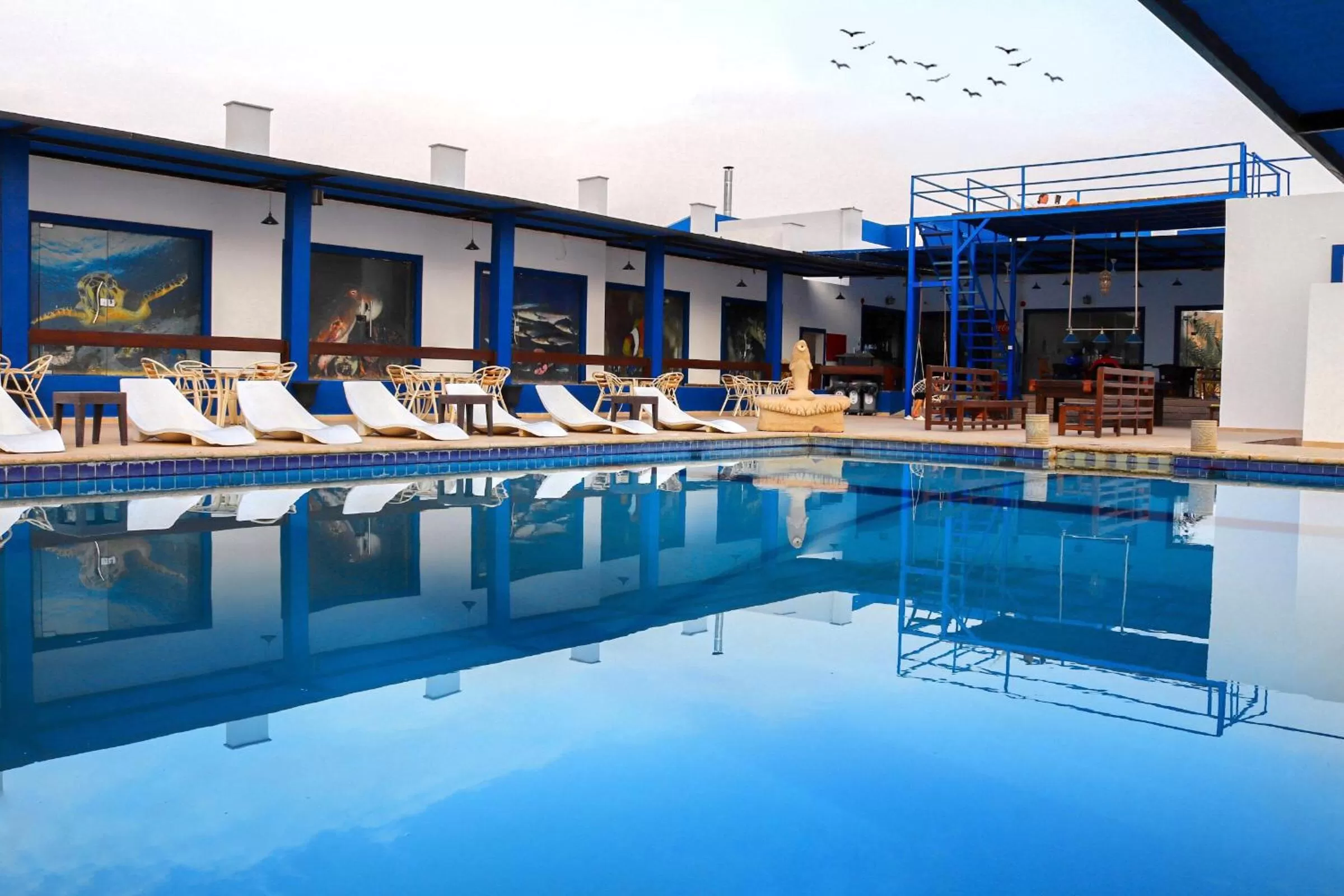 Swimming Pool in Aqaba Adventure Divers Resort & Dive Center