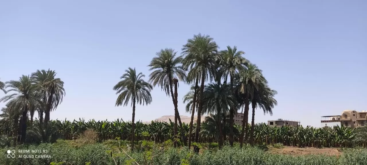 Luxor Old Nile Hotel