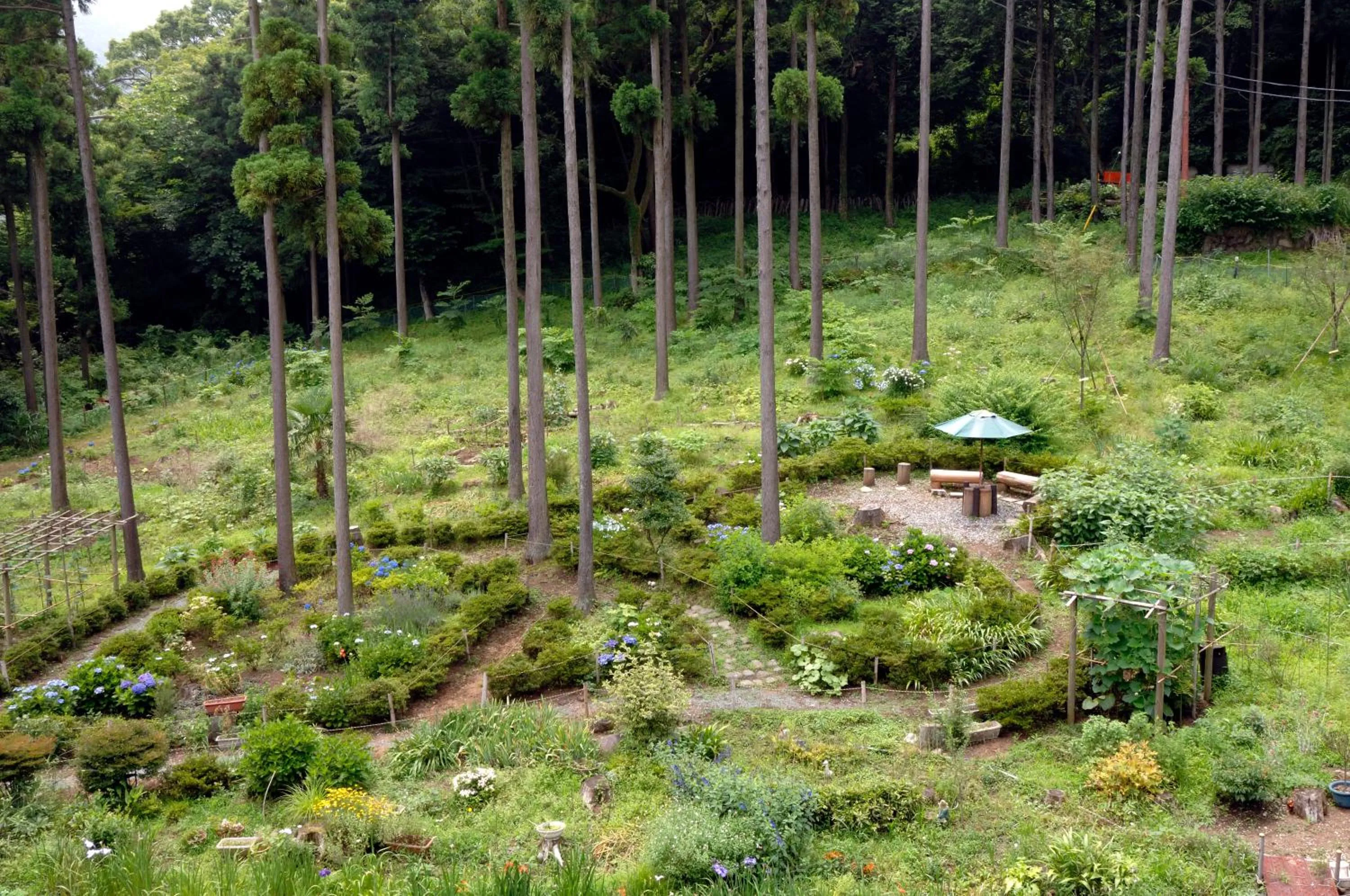Garden in Hakonenomori Okada