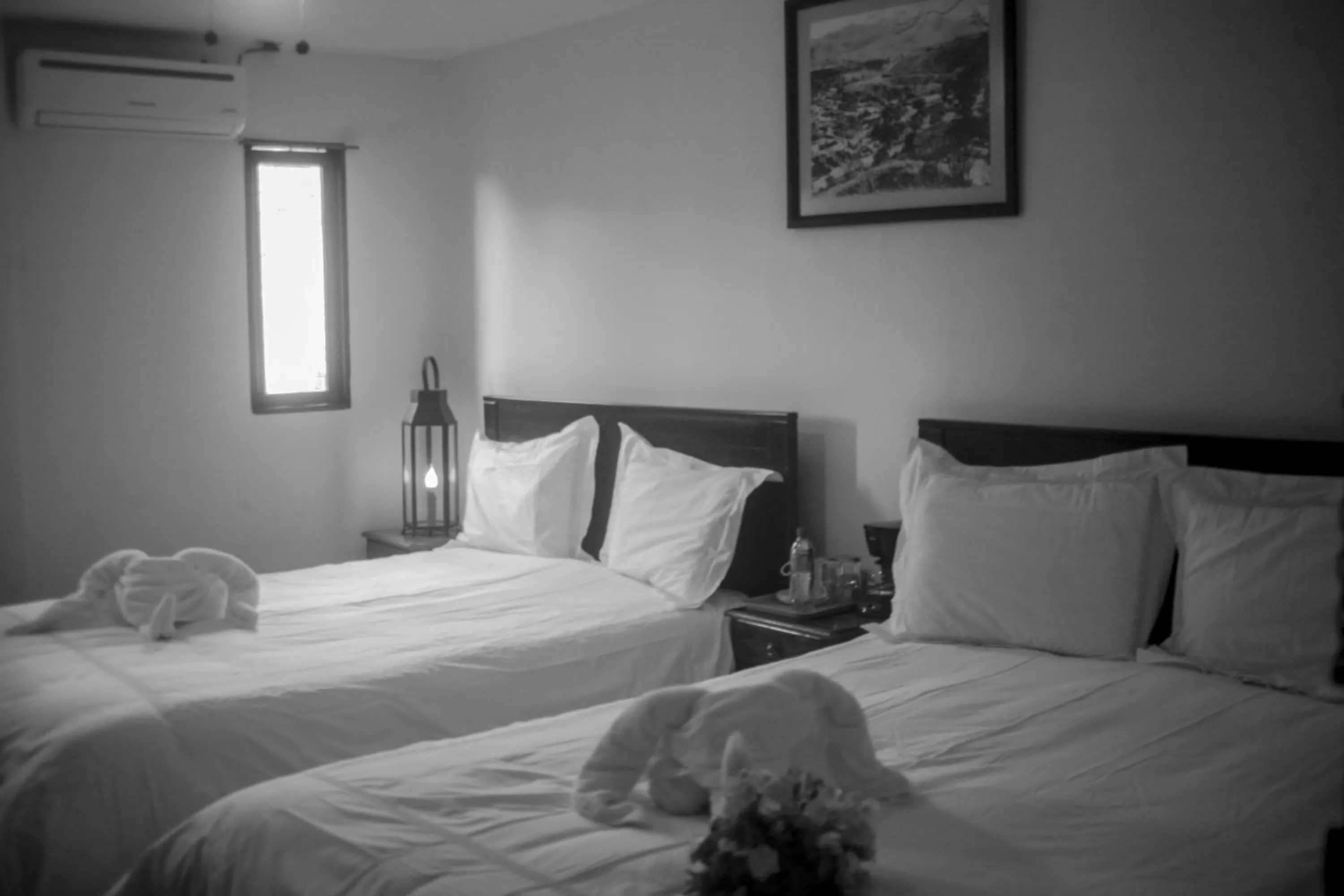 Photo of the whole room, Bed in Hotel La Estación