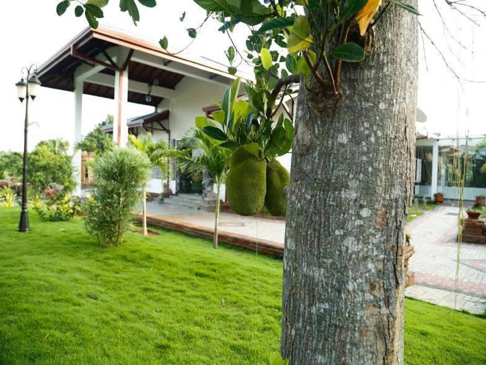 Off site in Ruins Chaaya Hotel