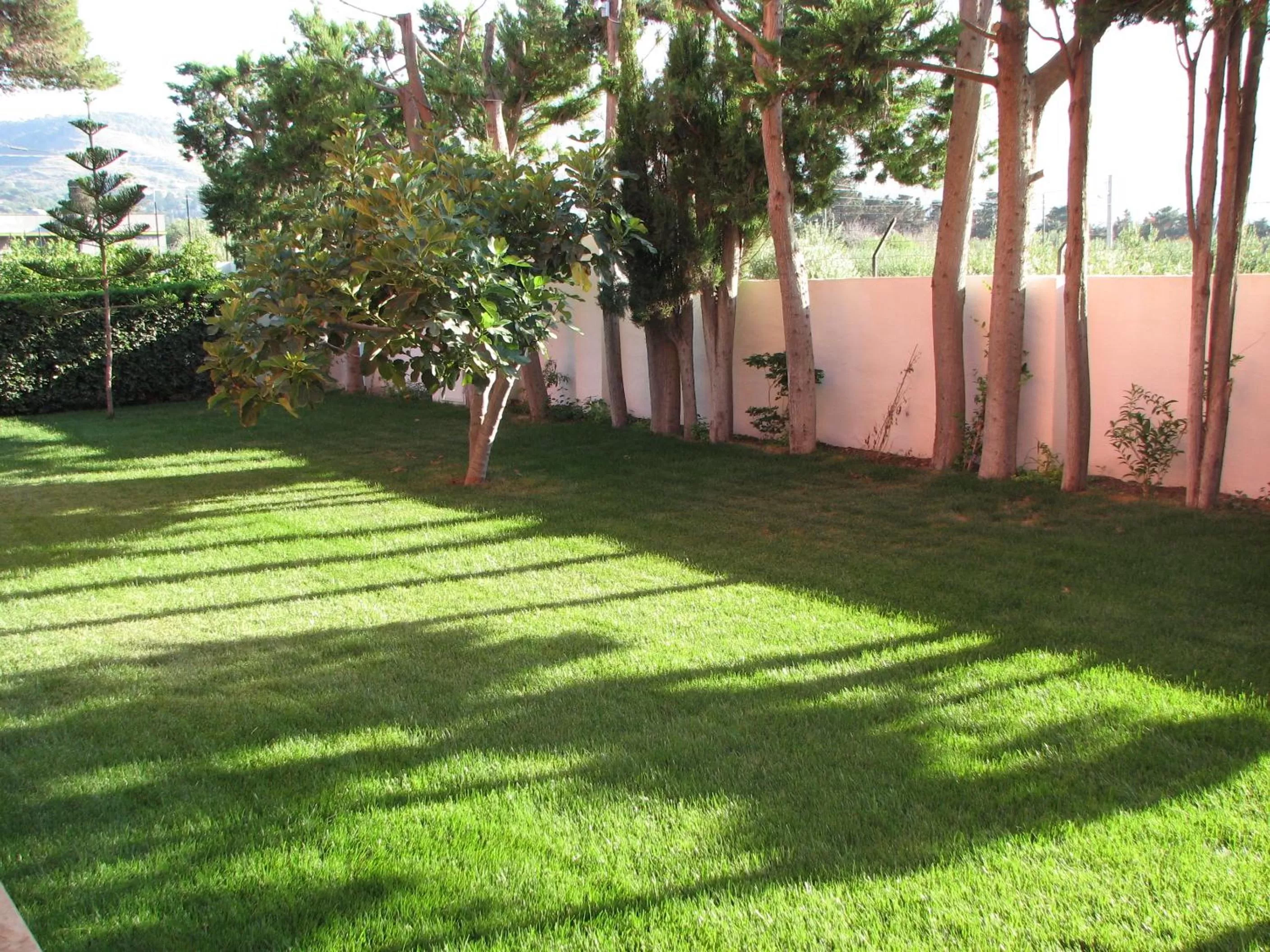 Garden in B&B 7Cento Ulivi