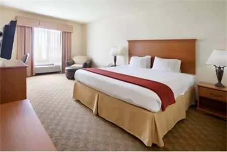 Bedroom, Bed in Holiday Inn Express Hotel & Suites Zapata by IHG