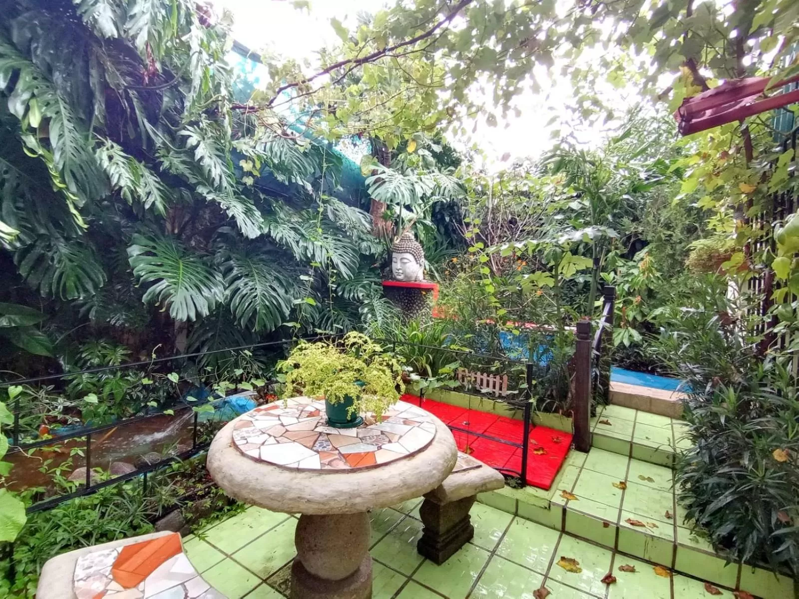 Patio in Nirvana Apartament Hostal