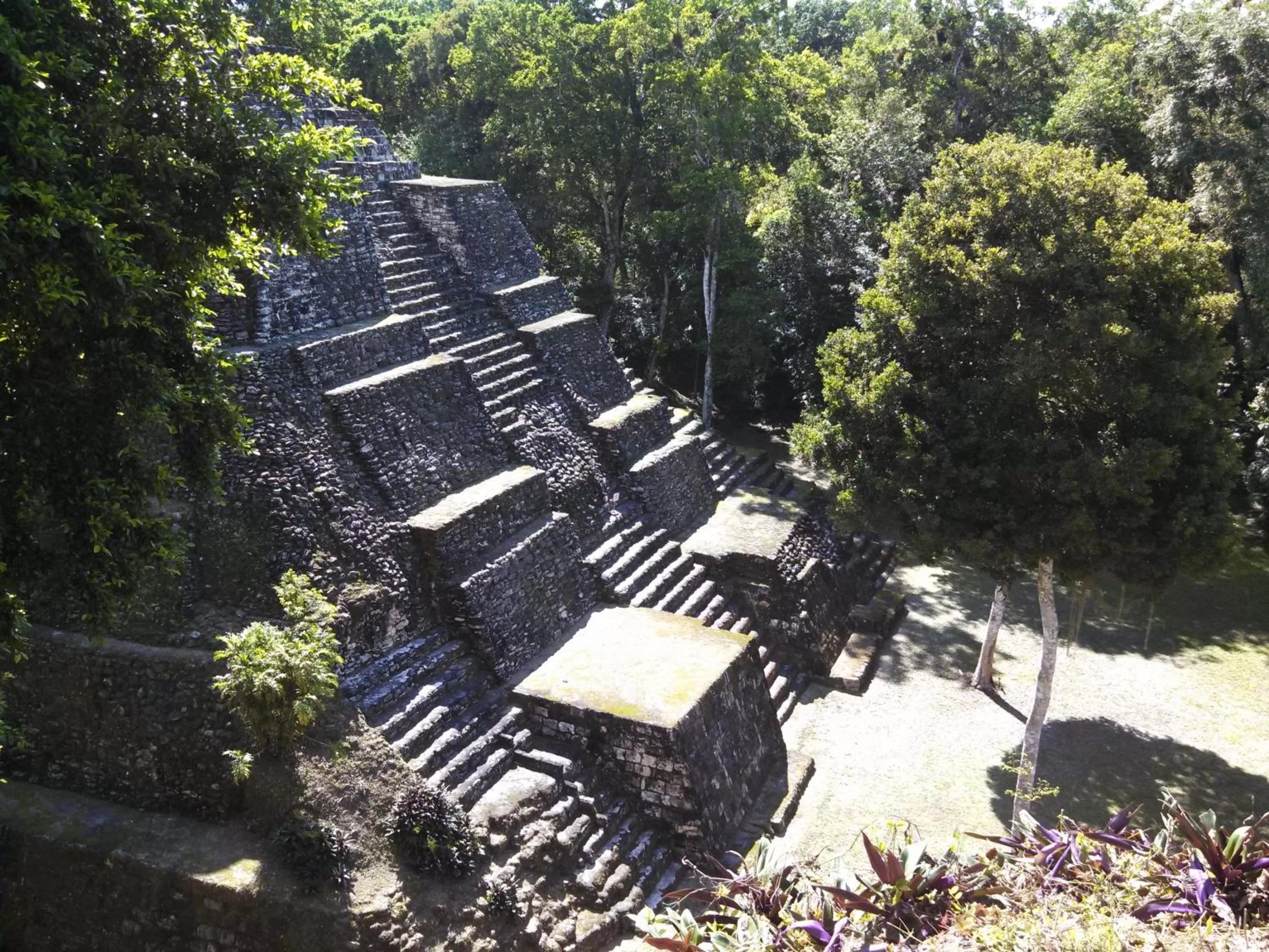 Natural landscape, Bird's-eye View in Zapote Tree Inn