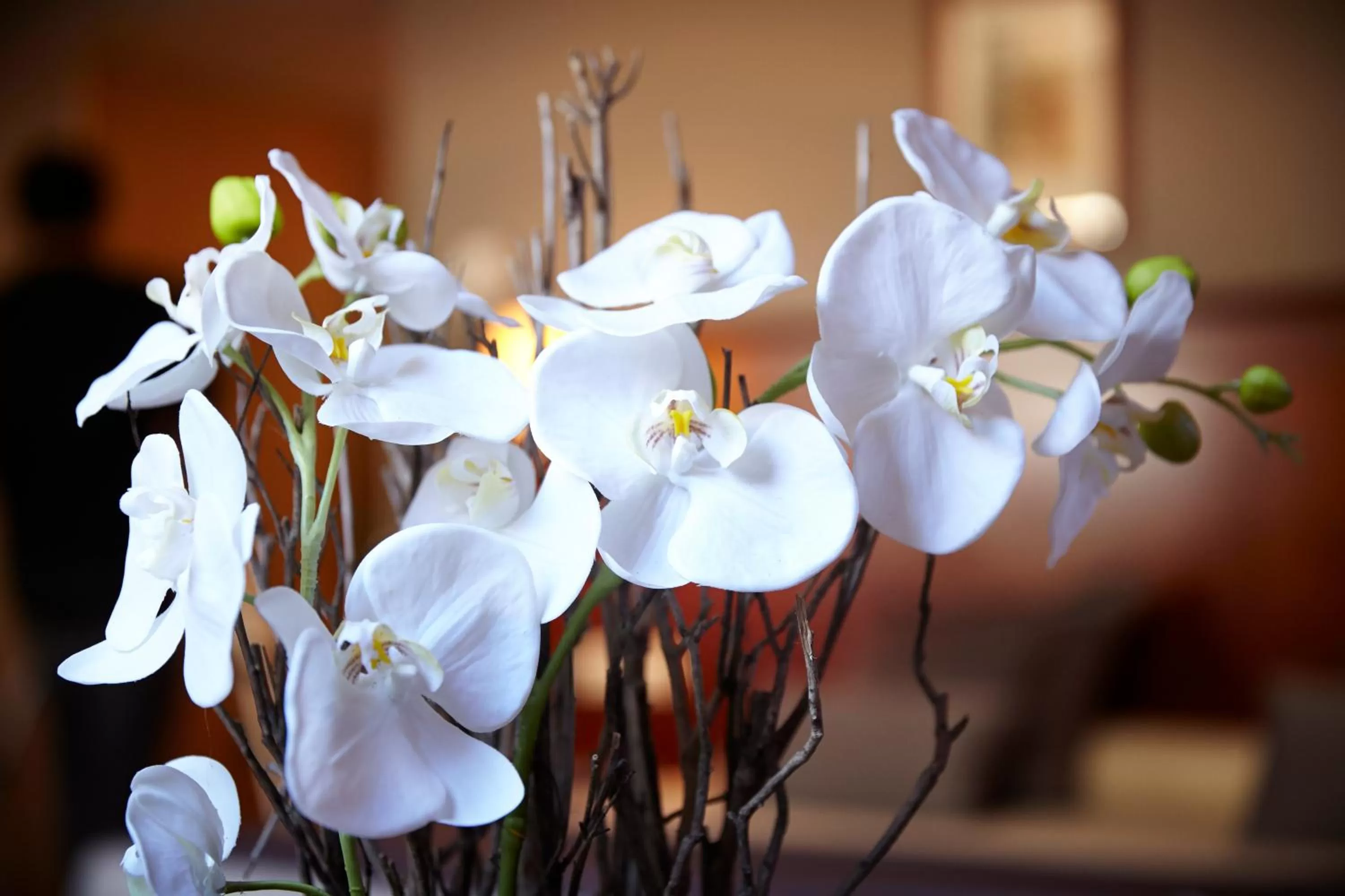 Decorative detail in Fènix Hotel