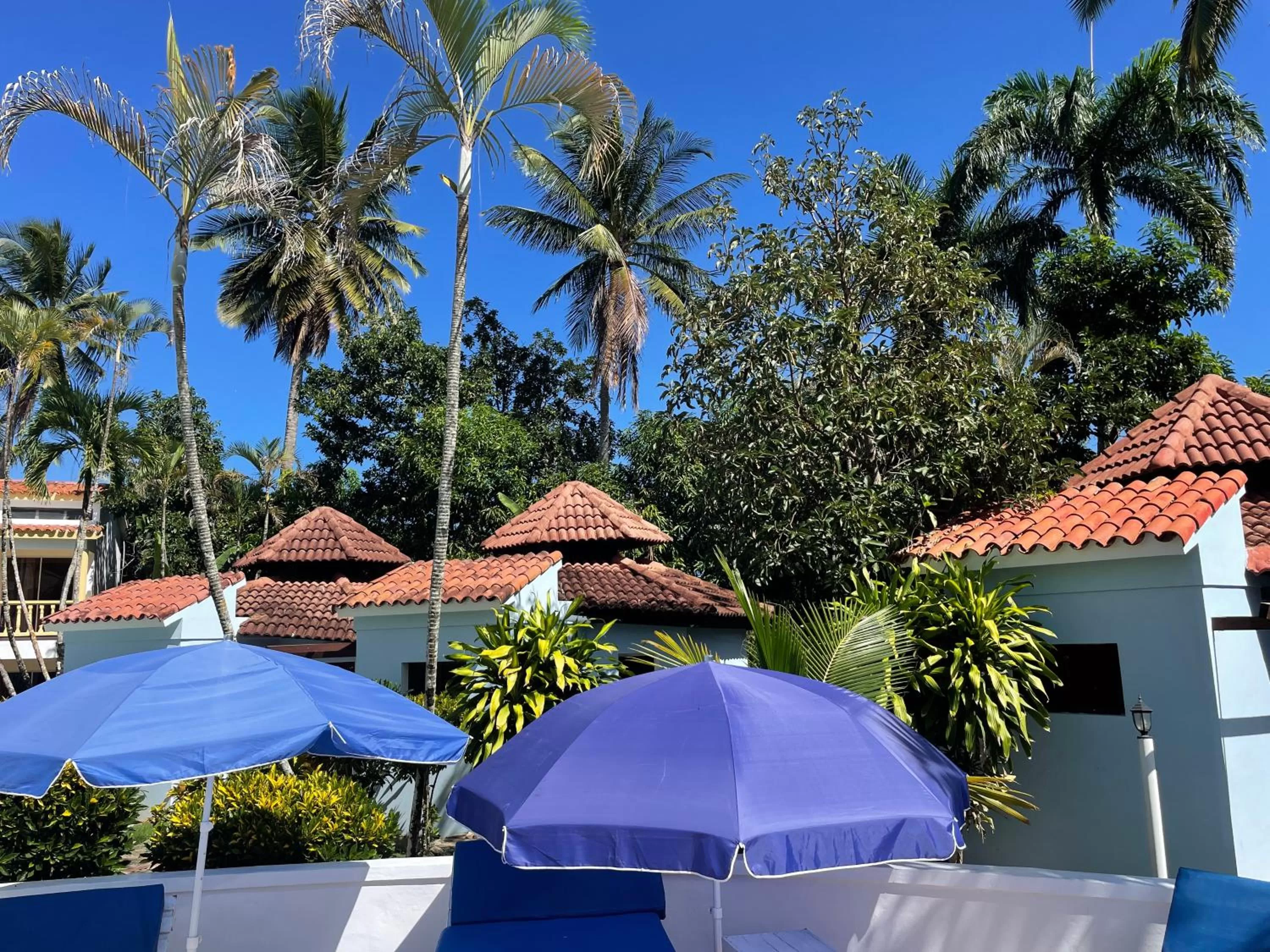 Palms Lounge Cabarete