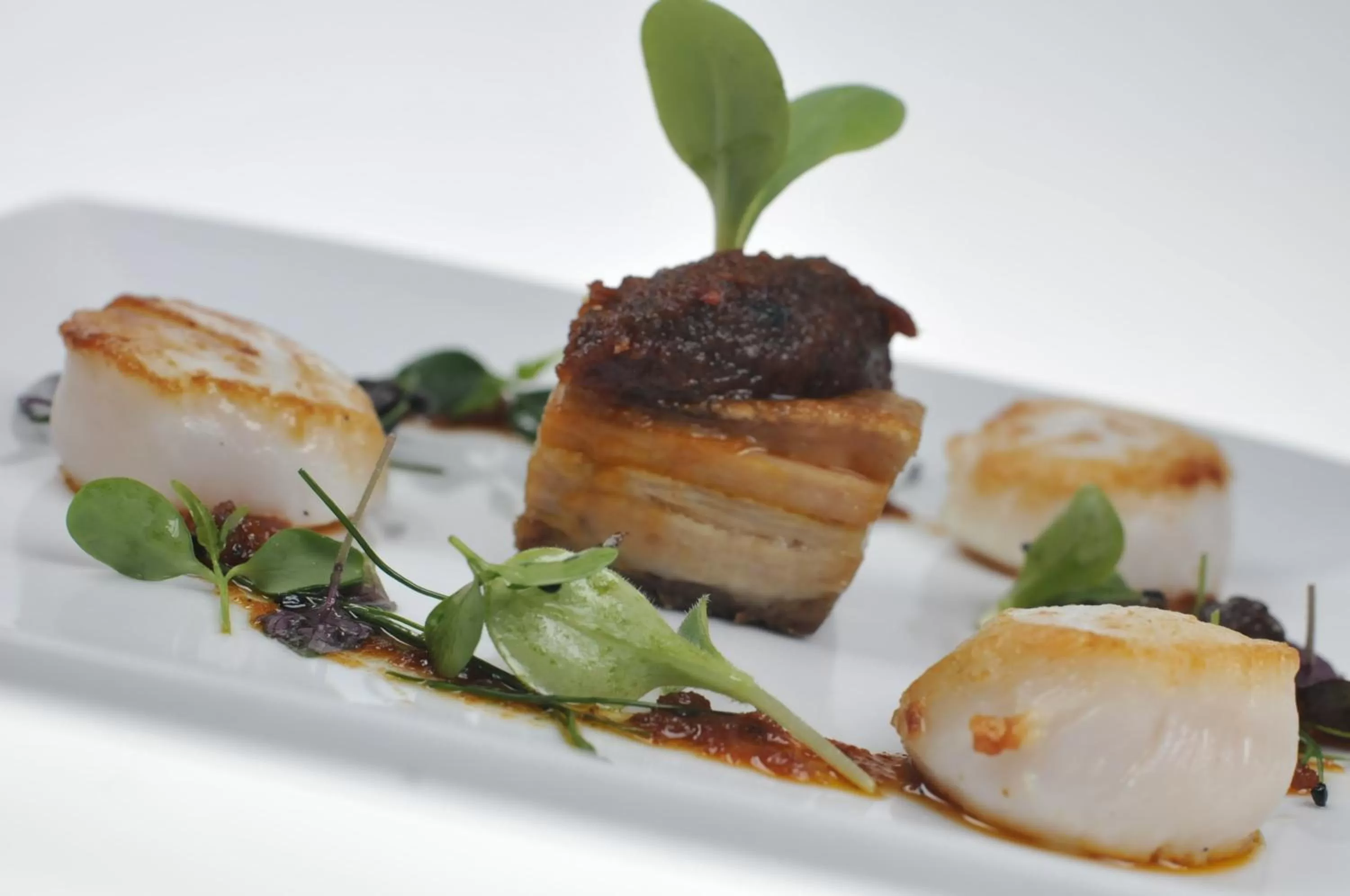 Food close-up in Hopping Hare