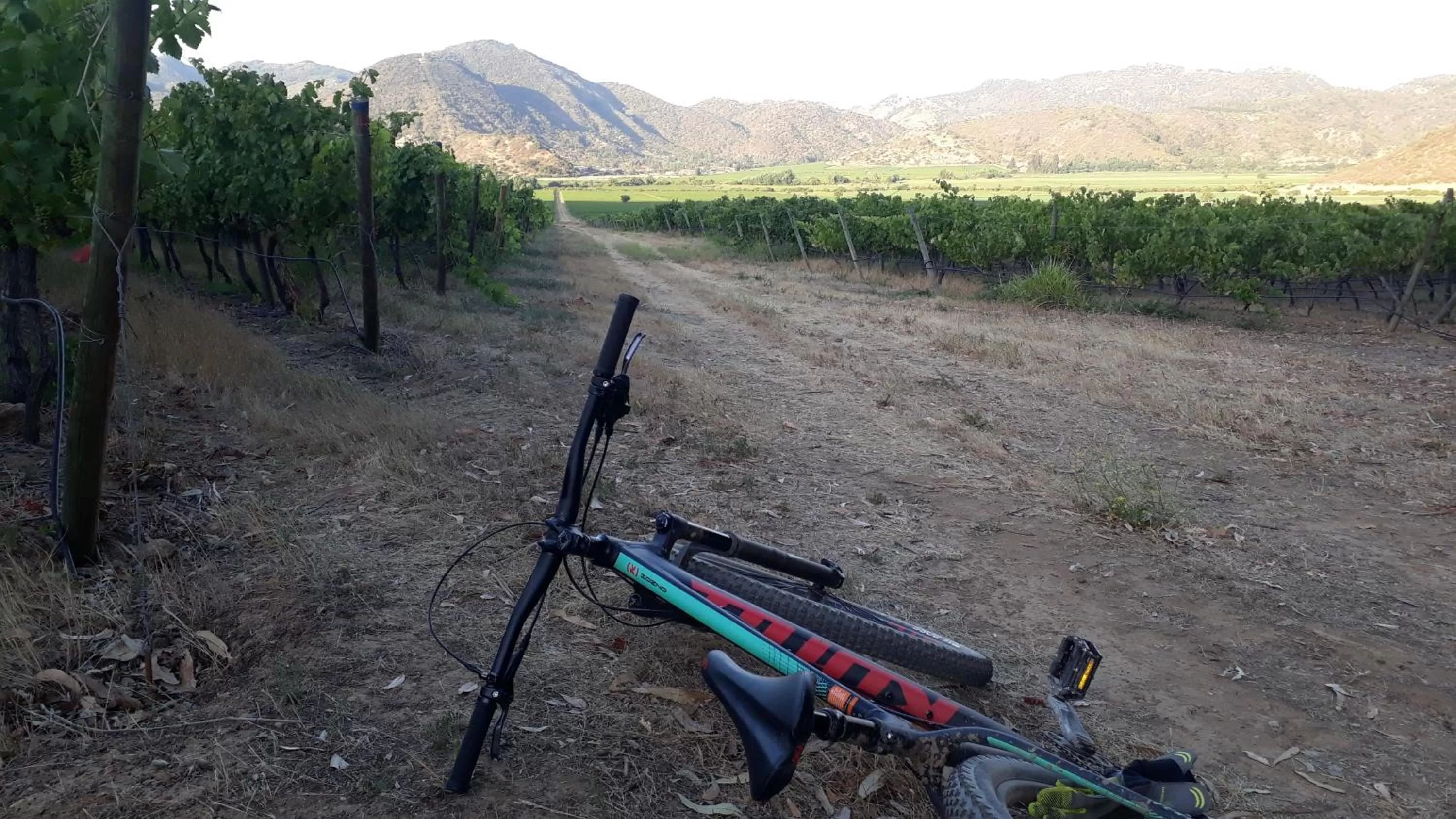 Natural landscape in Callihue Lodge