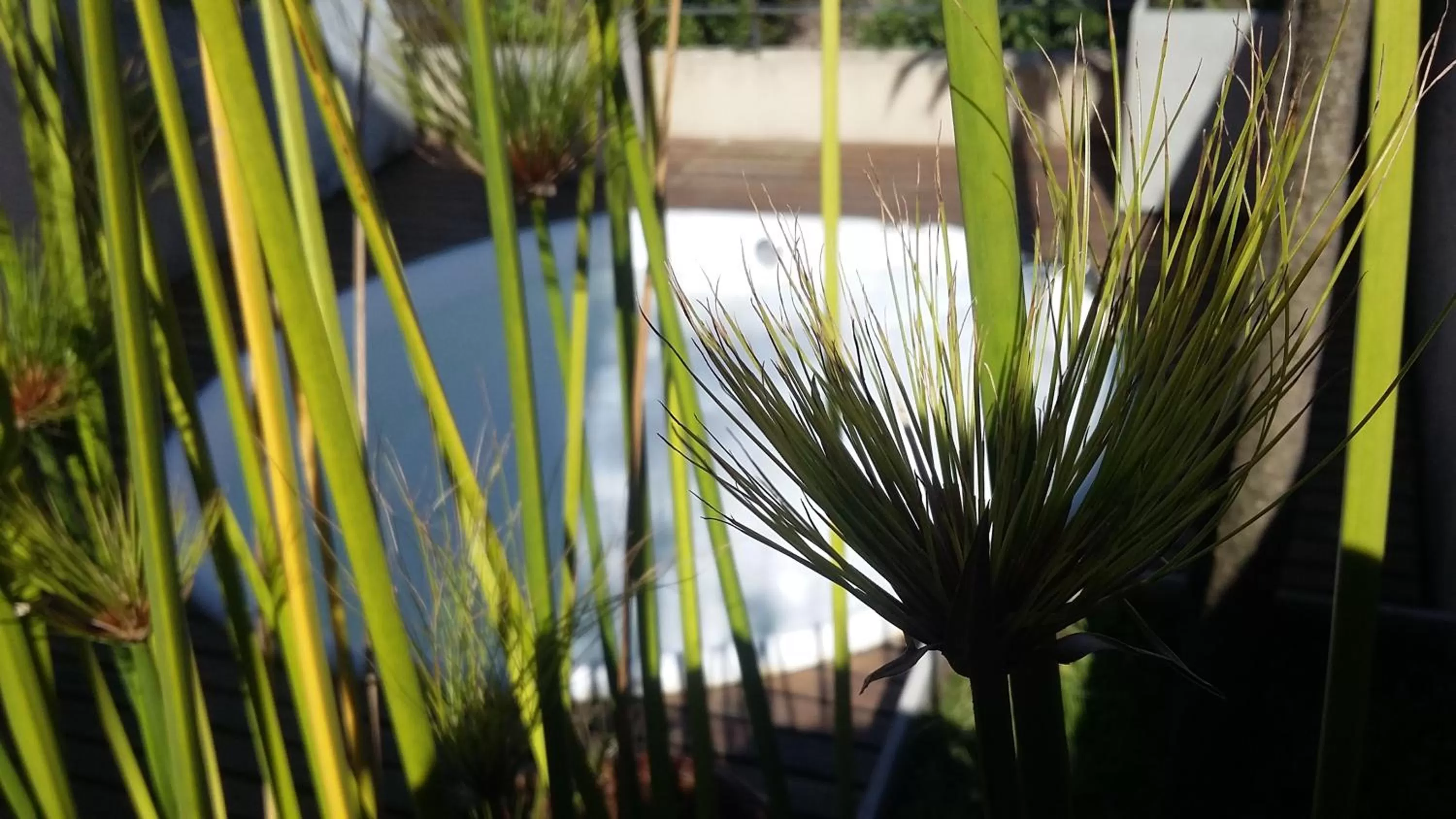 Solarium in 248 Finisterra