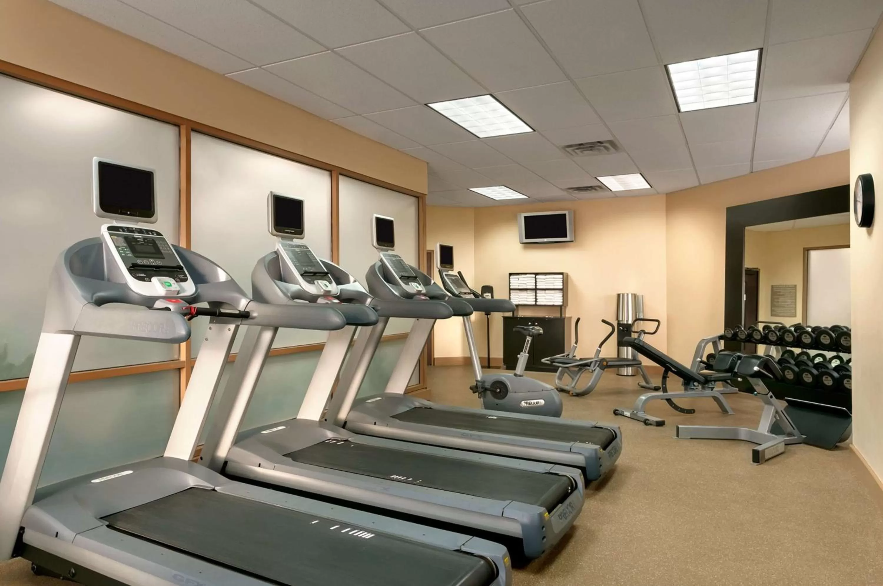 Fitness centre/facilities in Embassy Suites by Hilton Chicago North Shore Deerfield