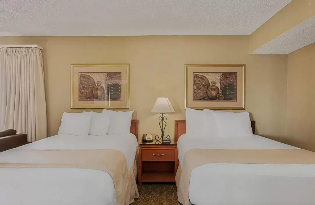 Studio Suite with Two Double Beds in Chase Suite Hotel Rocky Point Tampa Studio Suite with Two Double Beds in Chase Suite Hotel Rocky Point Tampa
