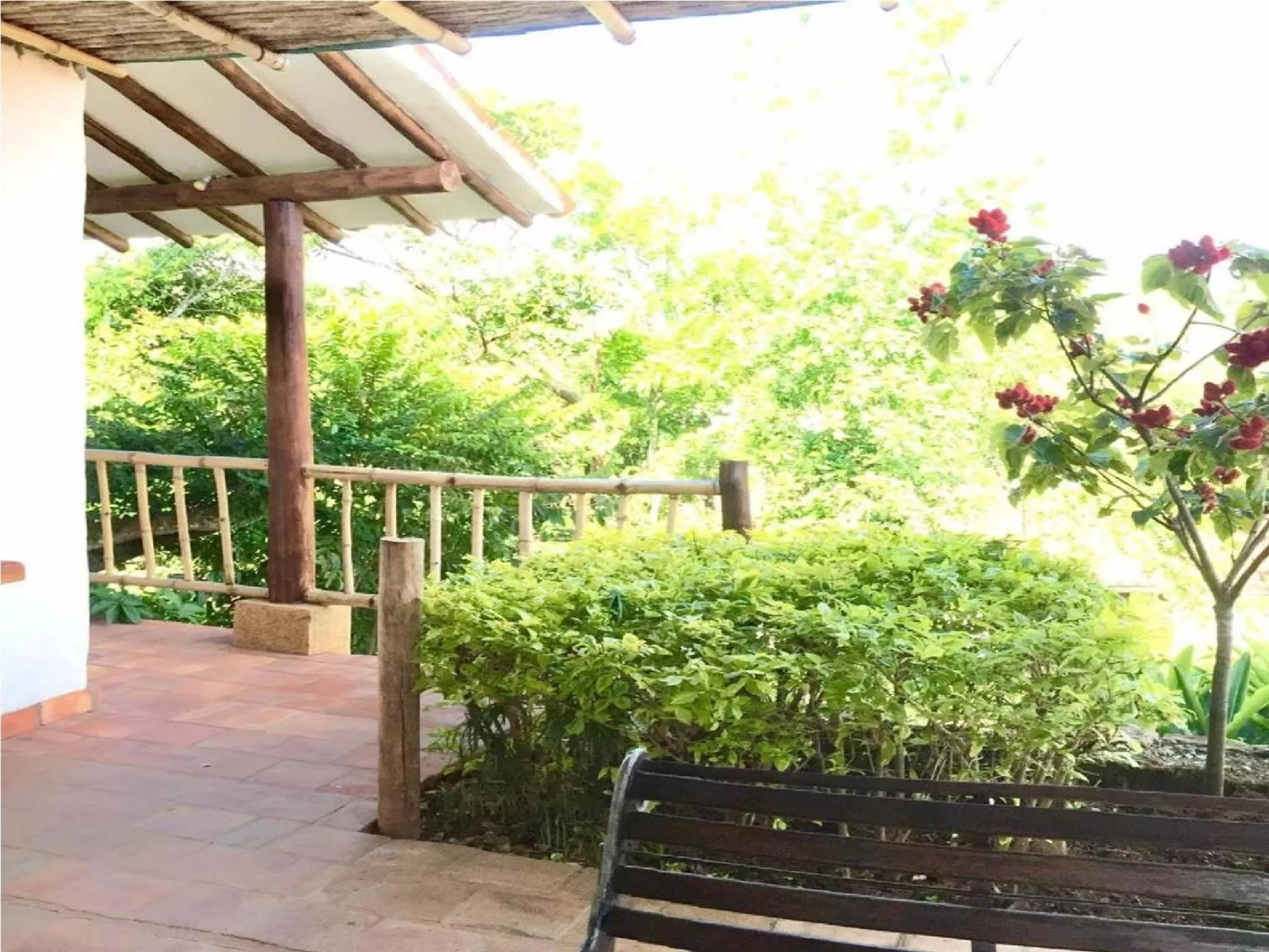 Garden in Achiotte Hotel Boutique by Masaya