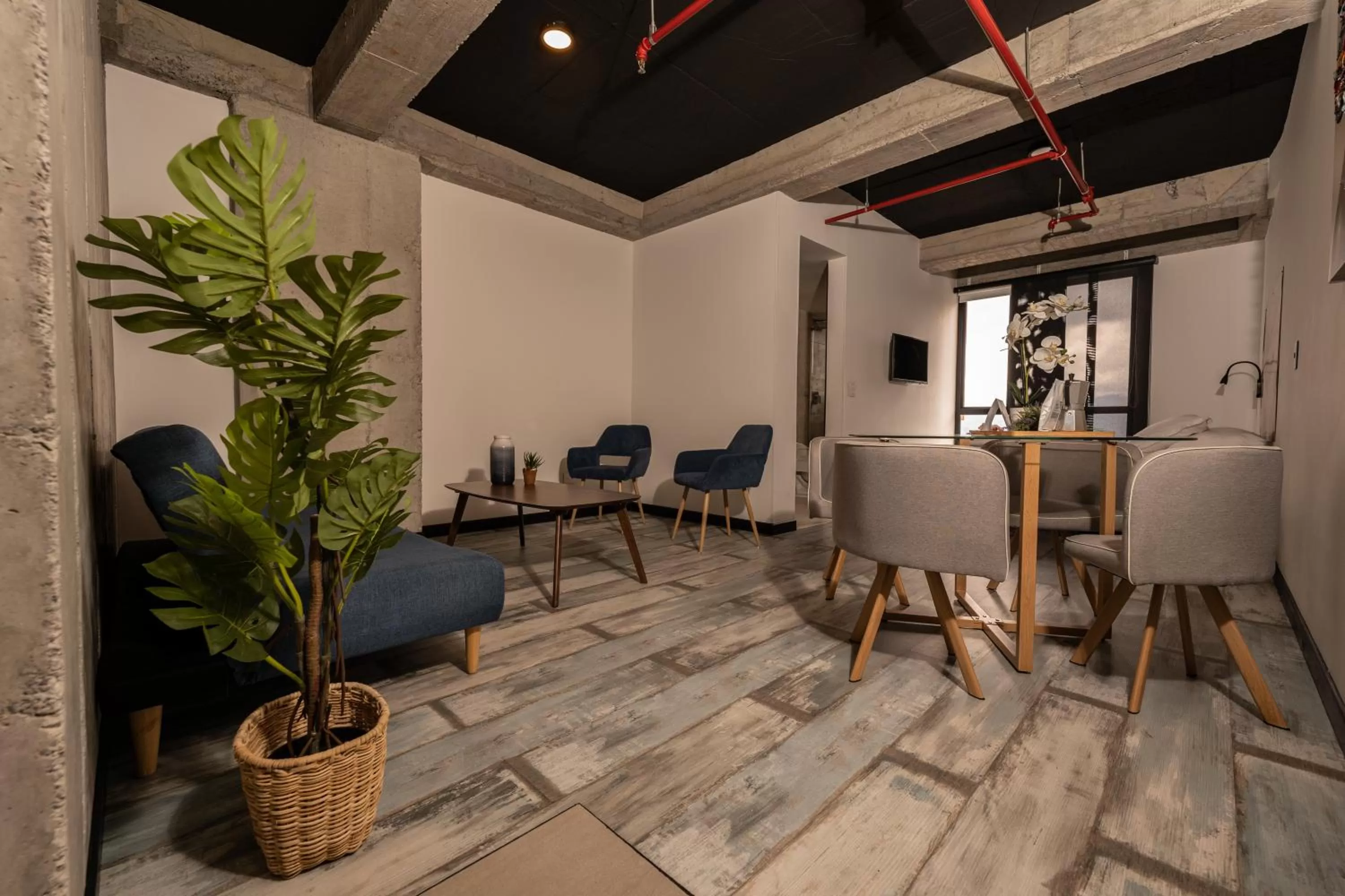 Living room in The Coffee Club