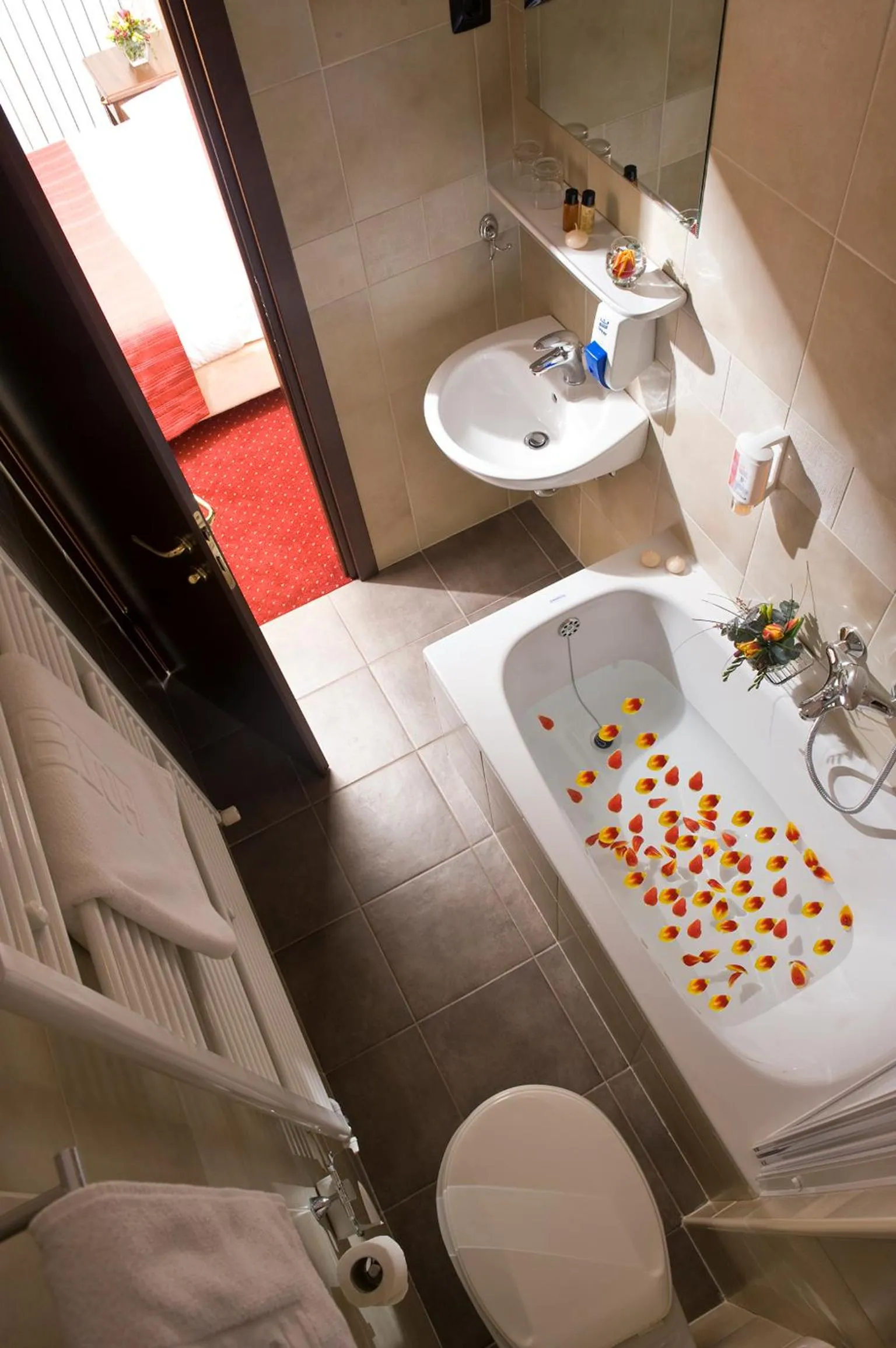 Bathroom in Hotel Continental