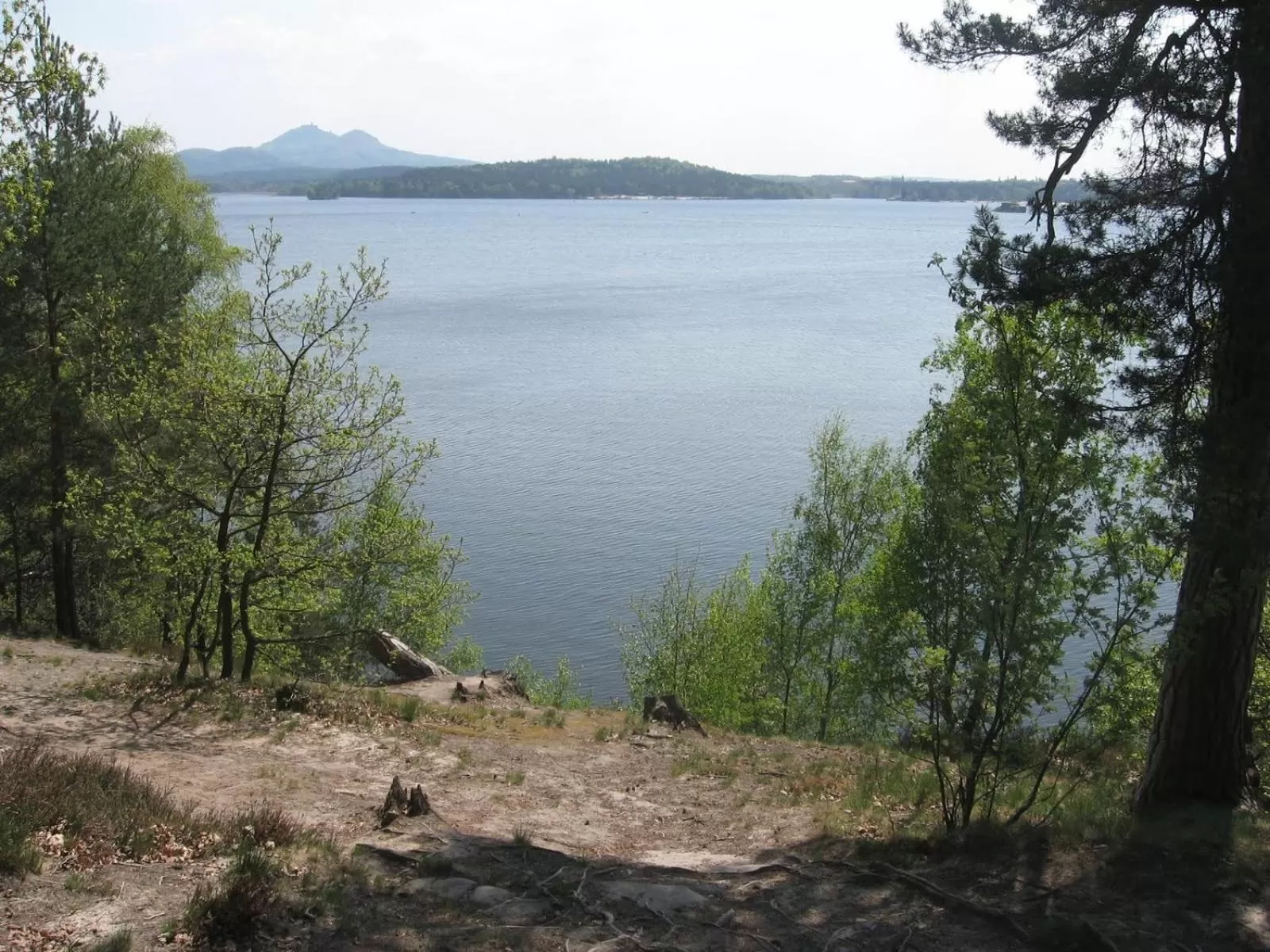 Area and facilities in Hotel Olympia Česká Lípa