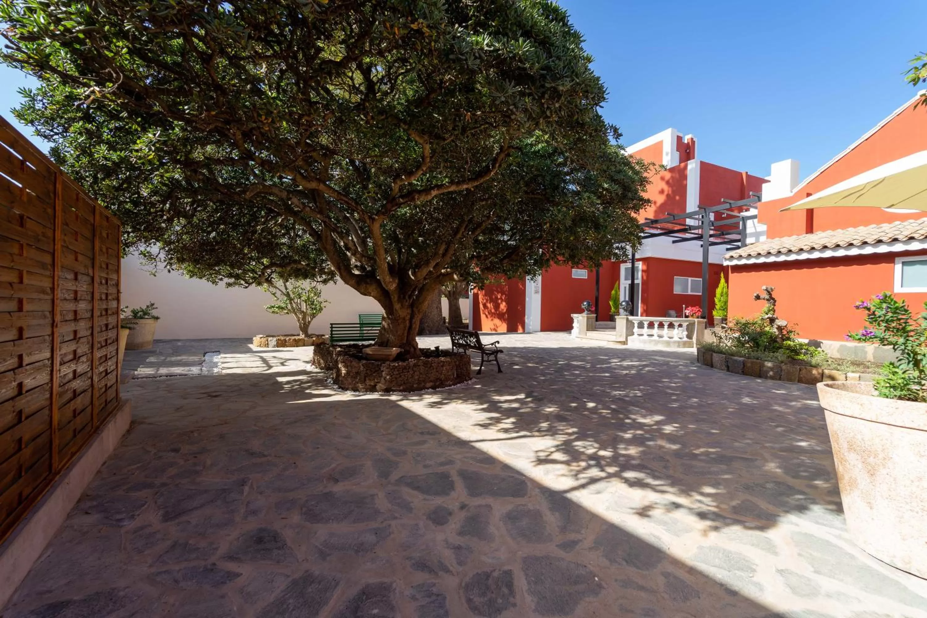 Patio in Albor Suites