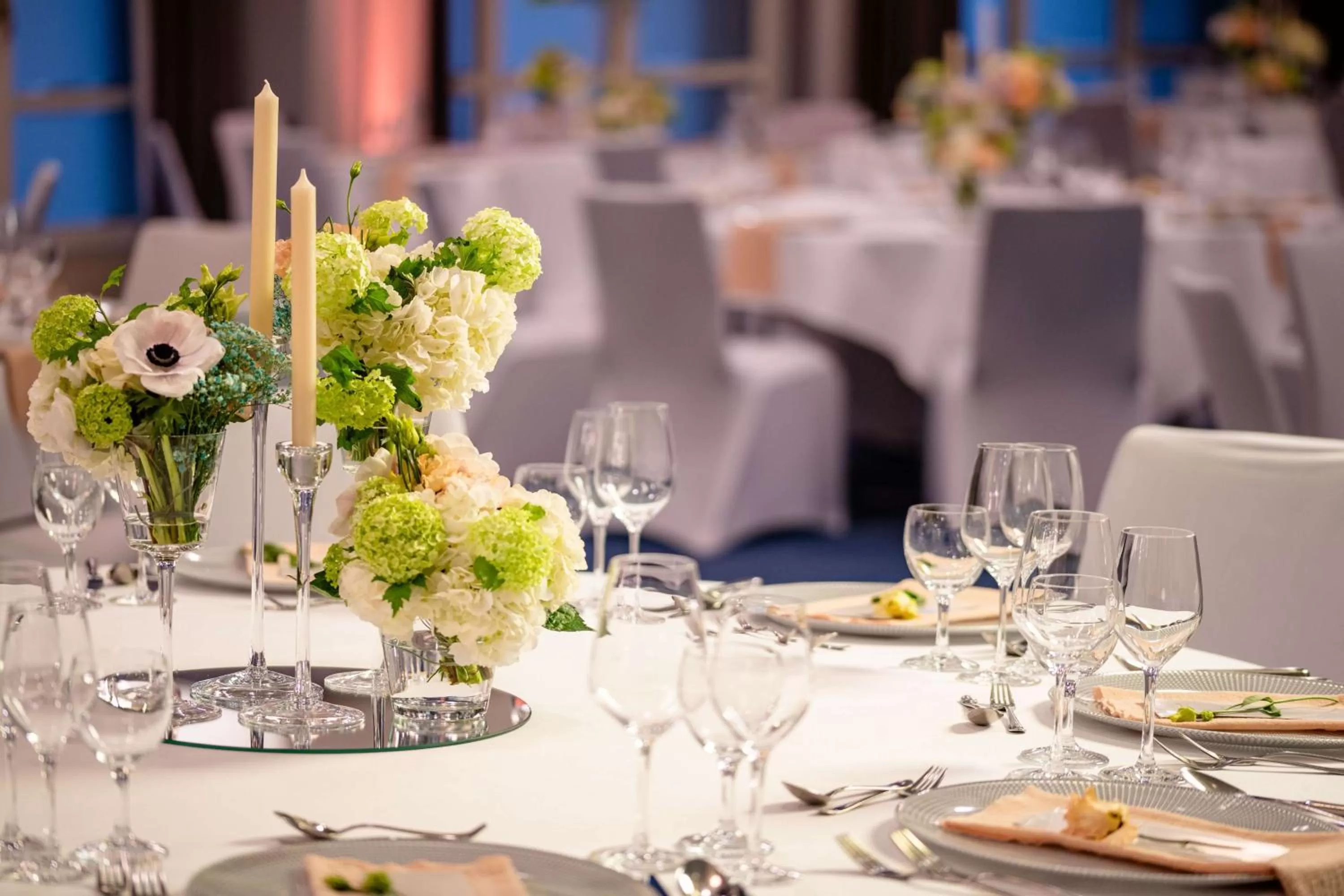 Dinner in Radisson Blu Hotel Bremen