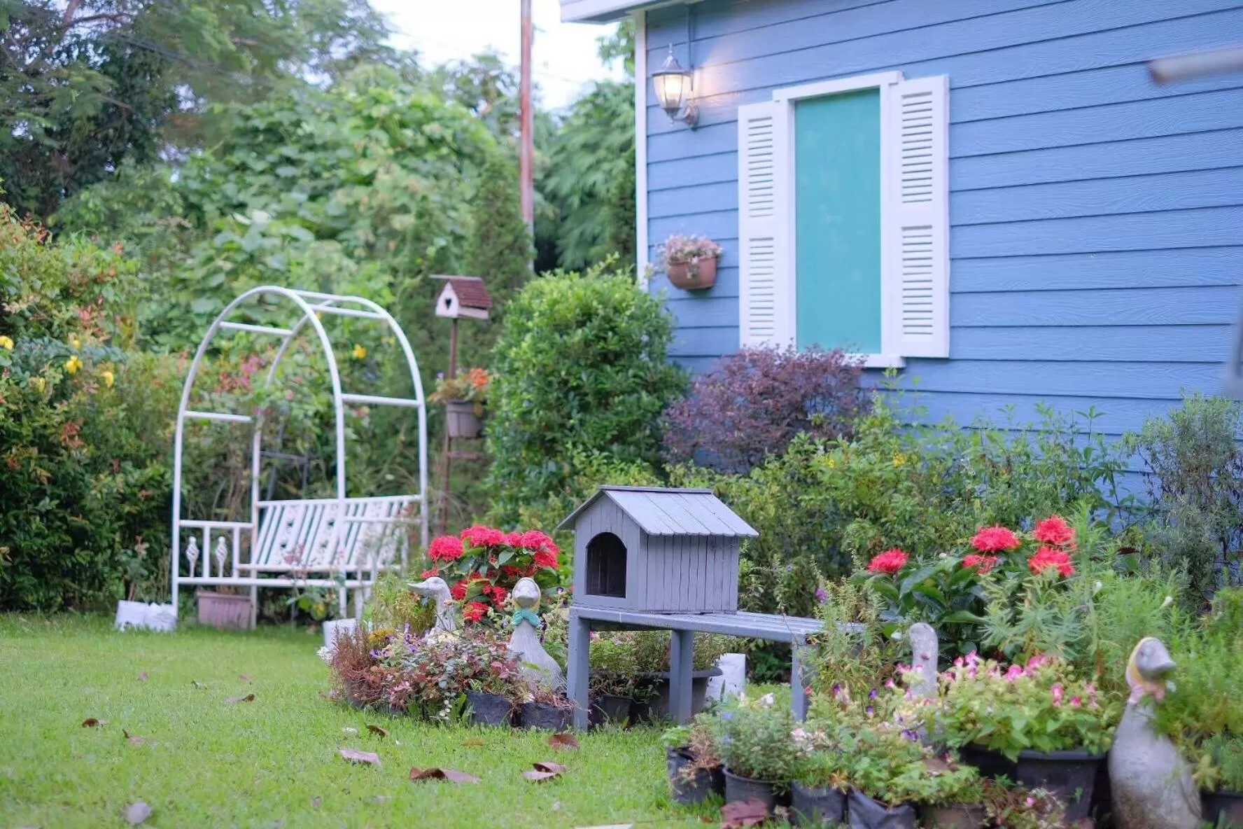 Garden in Baan JaoKorKluay บ้านเจ้ากอกล้วย