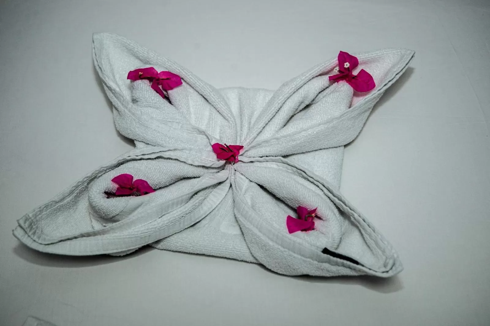 Decorative detail in Hotel Maman