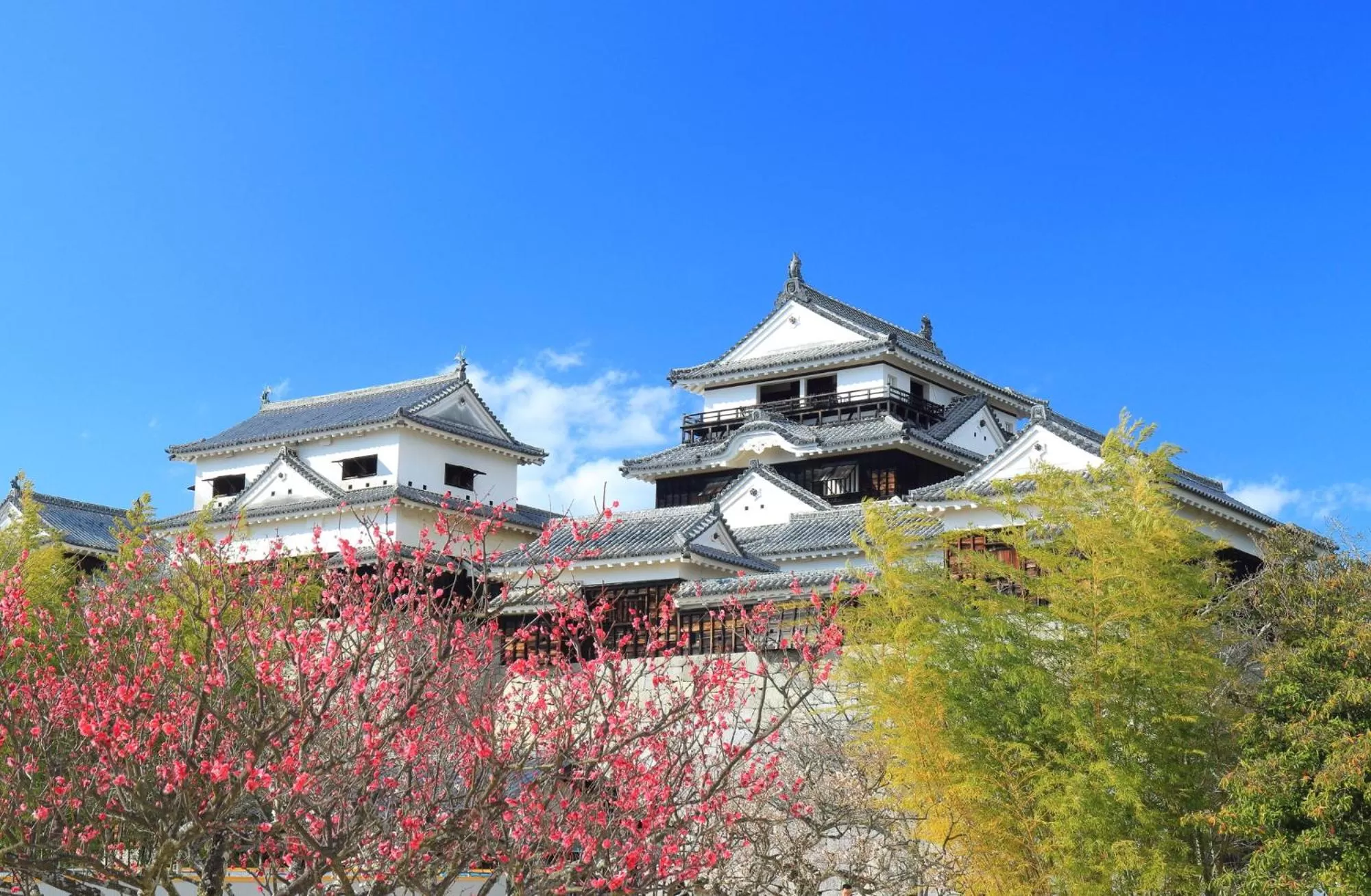Nearby landmark in Tabist Business Hotel Suehiro Matsuyama