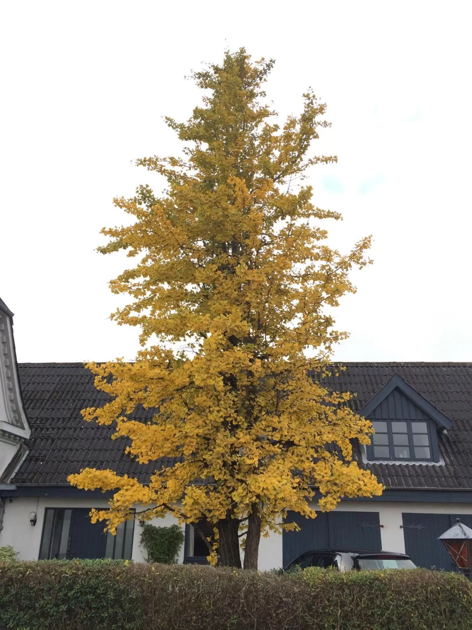 Property Building in Herligheden