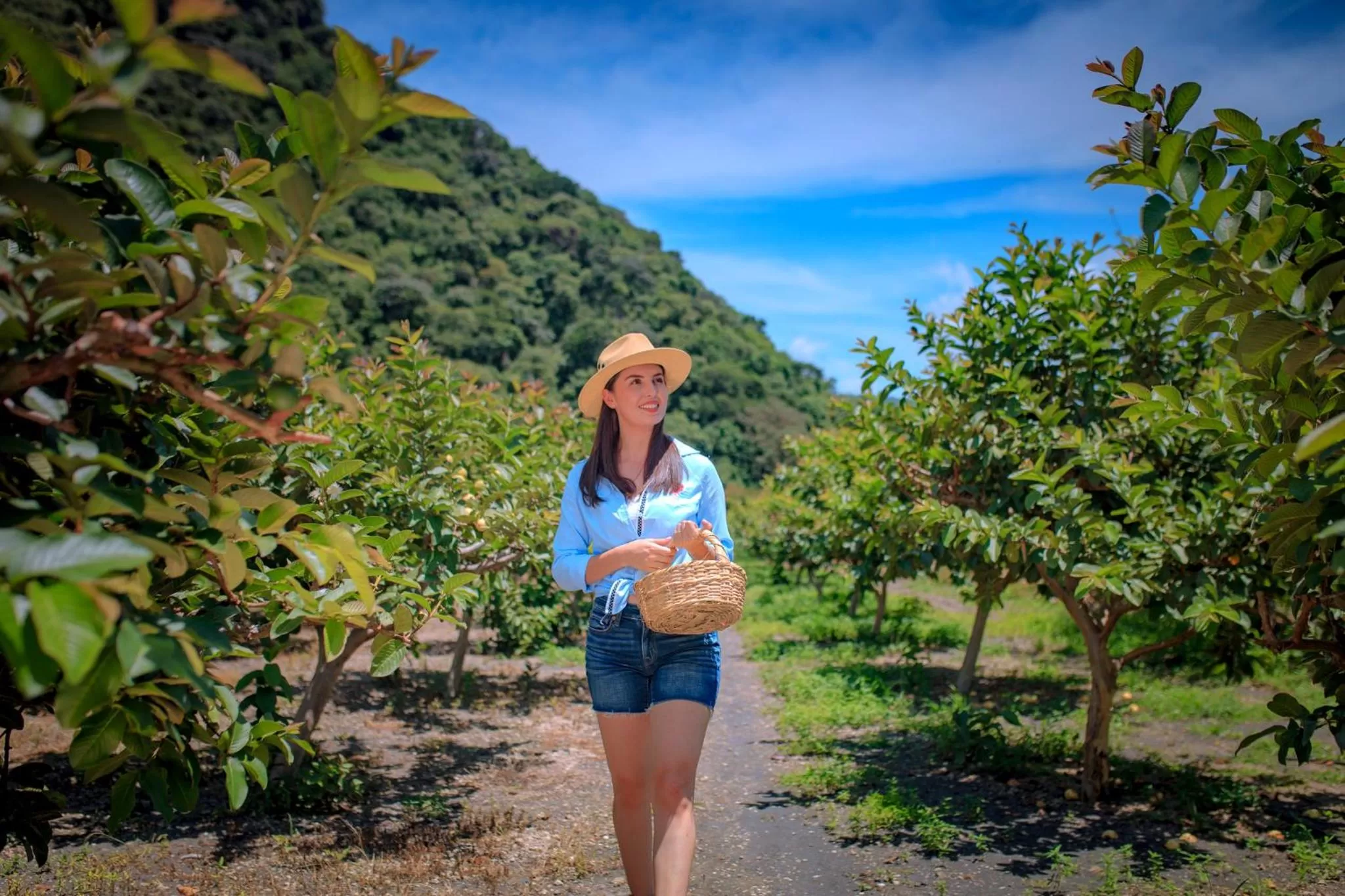 Property building in Nukari Quinta Boutique