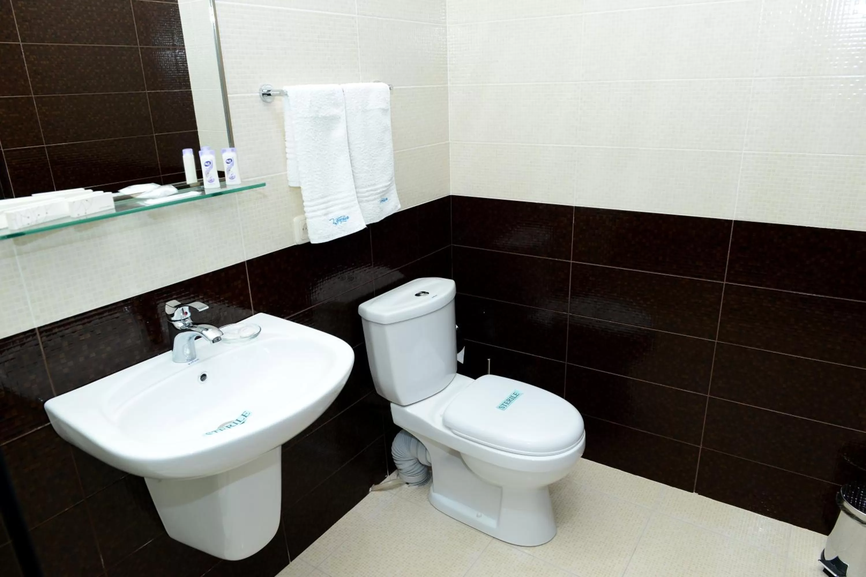 Toilet, Bathroom in Eridana Hotel