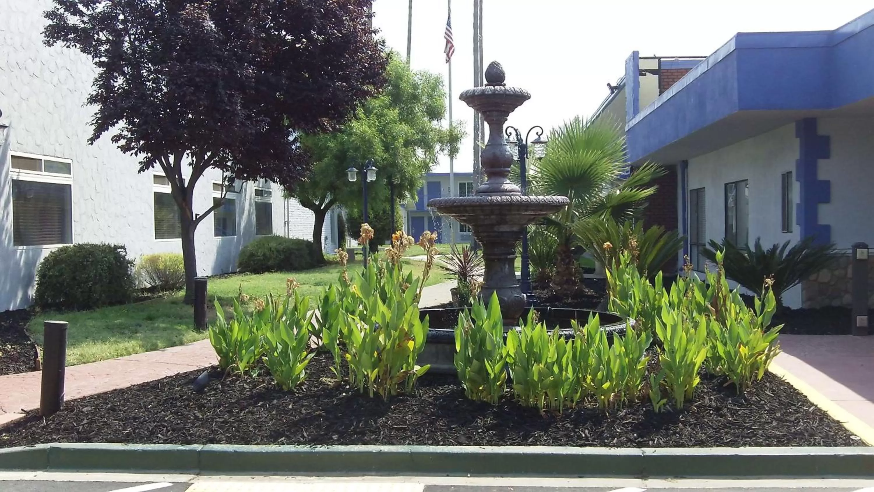 Property building in SureStay Plus Hotel by Best Western Sacramento Cal Expo