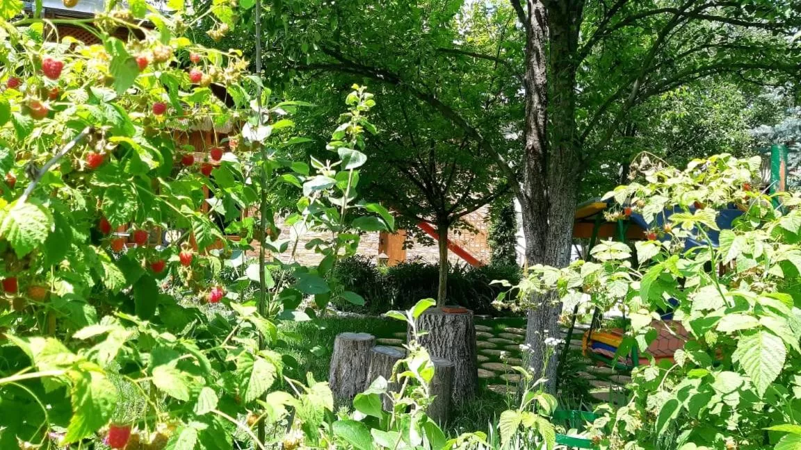 MagHay B&B Hotel in Vanadzor