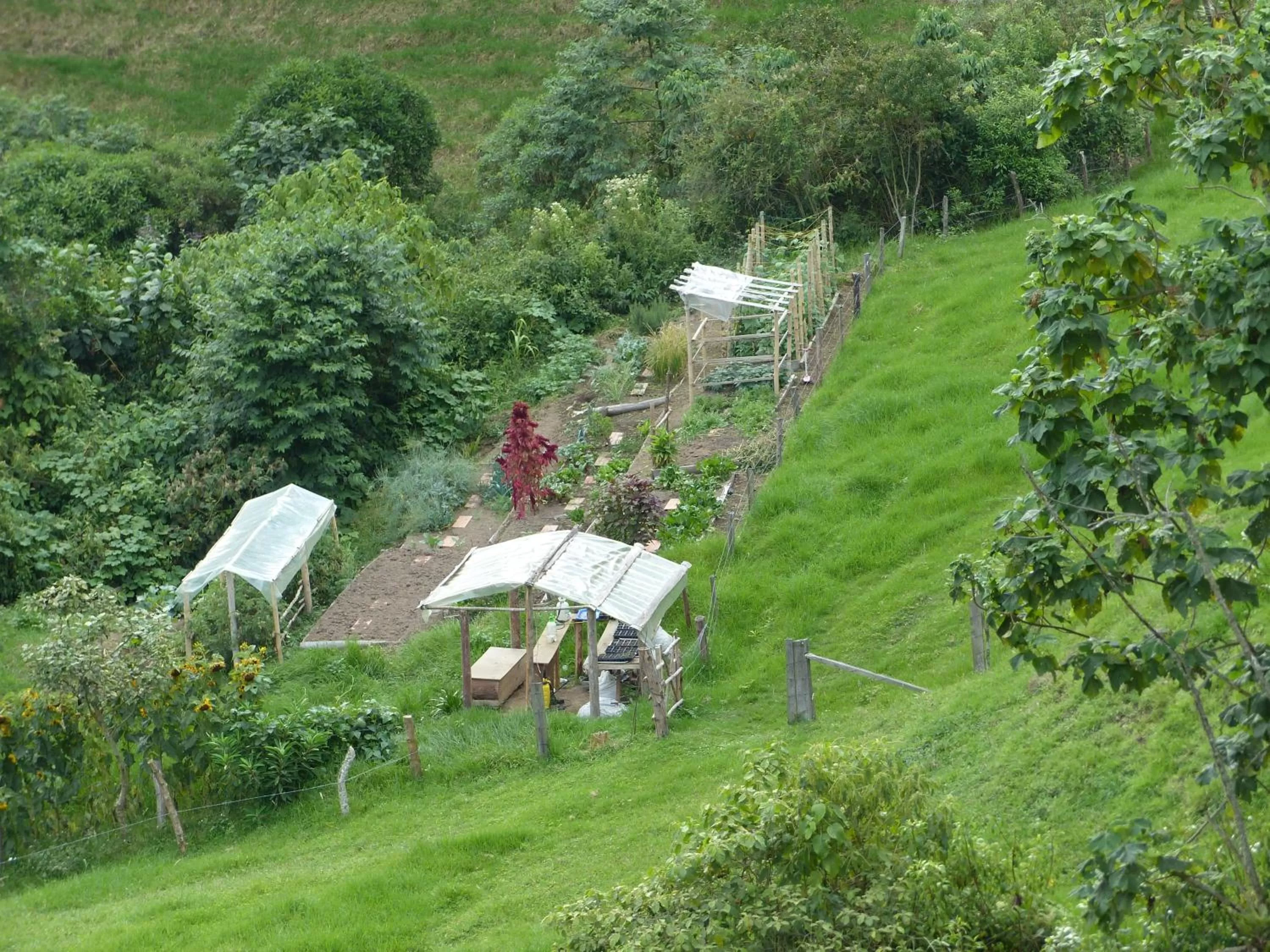 Activities, Bird's-eye View in Ecoresort Gran Azul