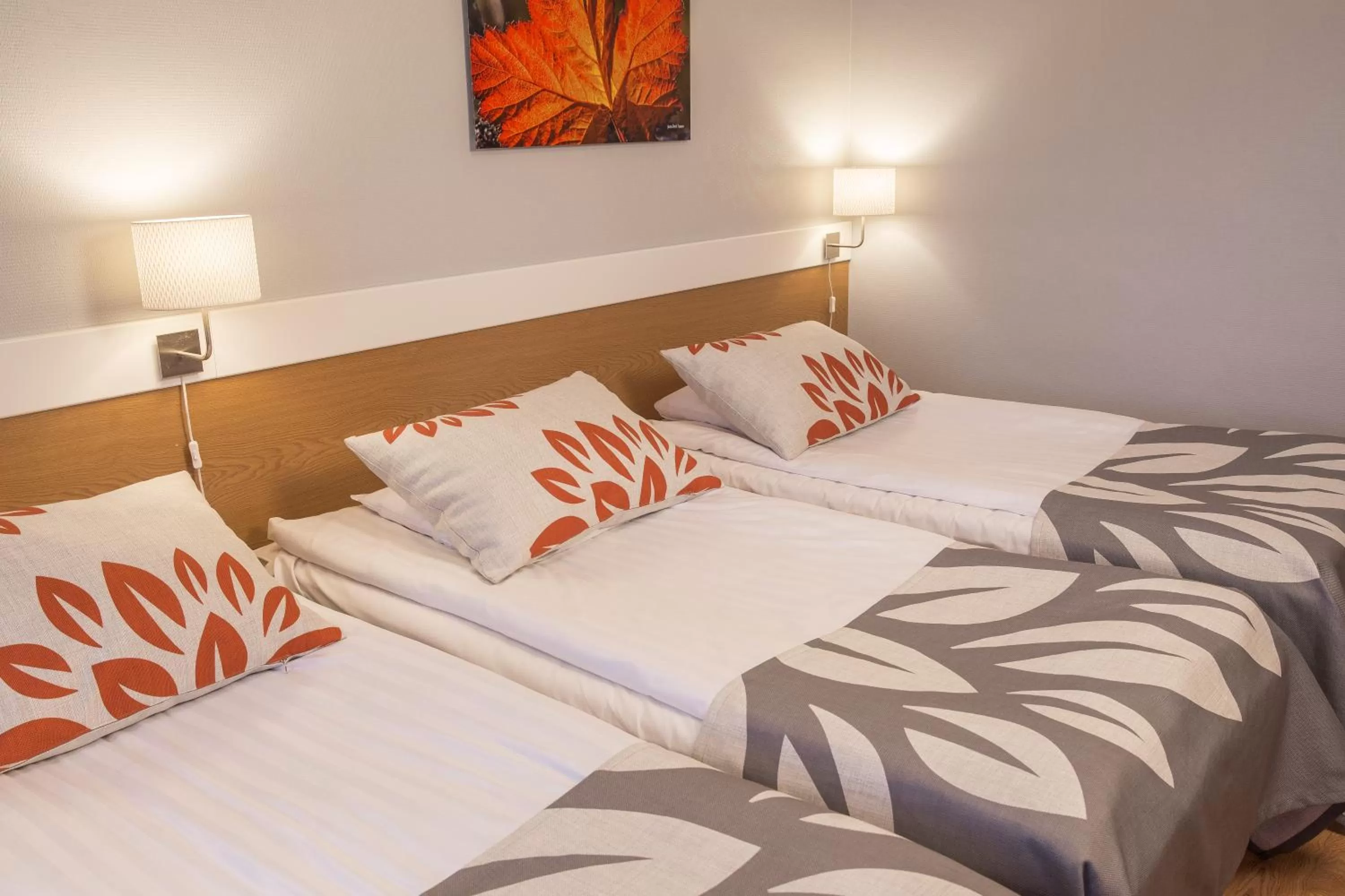 Bed in Park Hotel Tornio