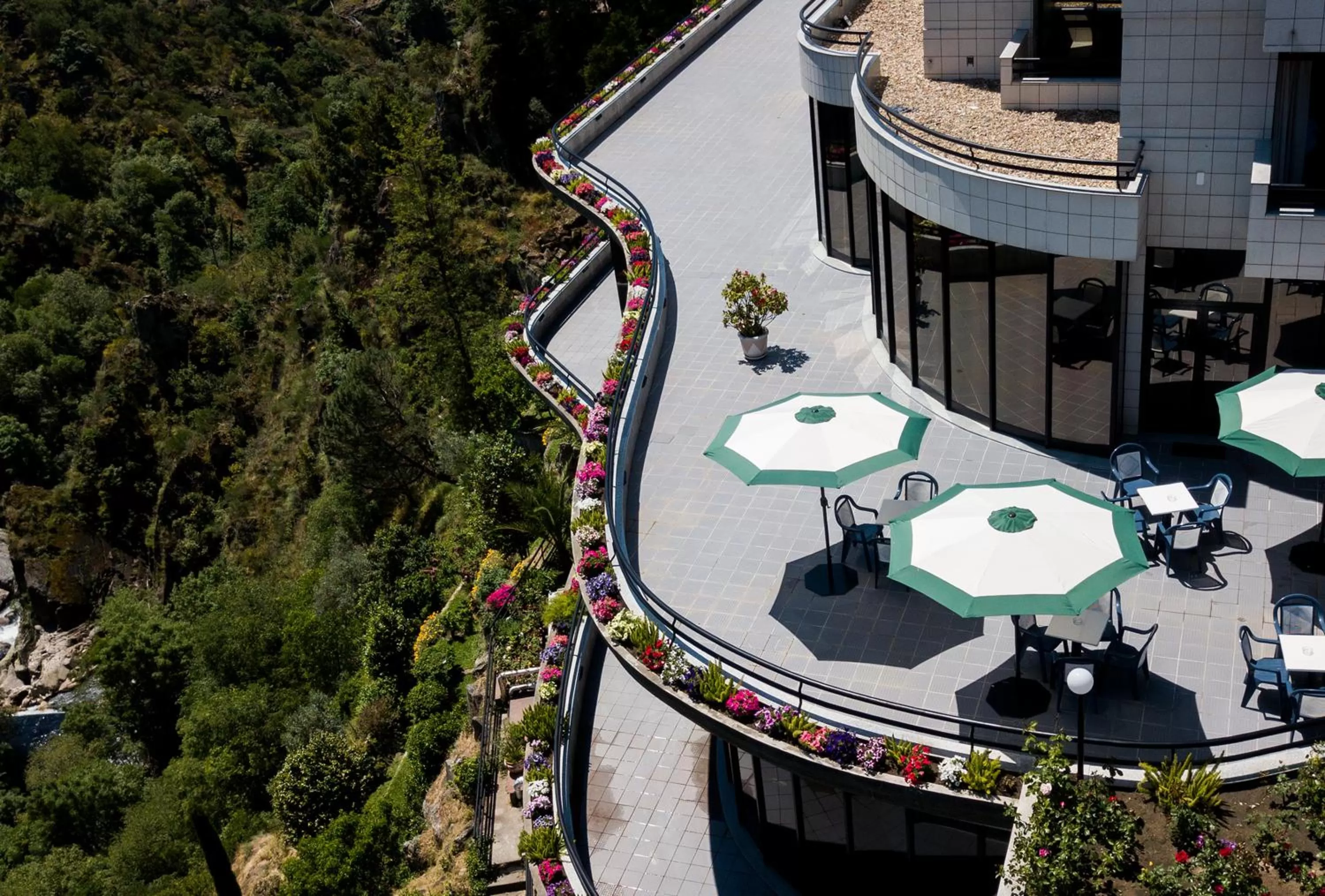 Garden in Hotel Miracorgo