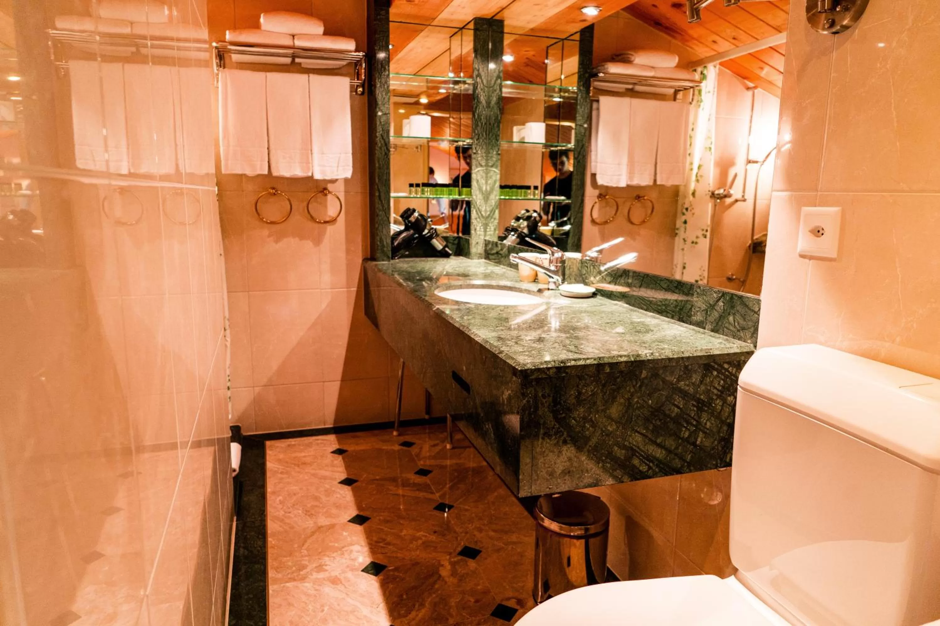 Toilet in Hillsite Smart Hotel Flims