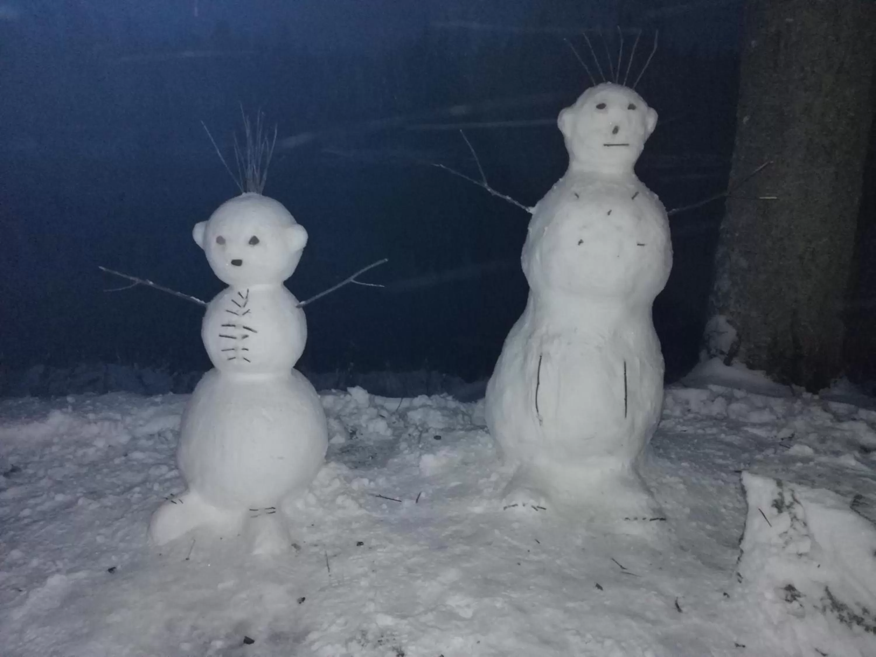 Winter in Värdshuset Lugnet