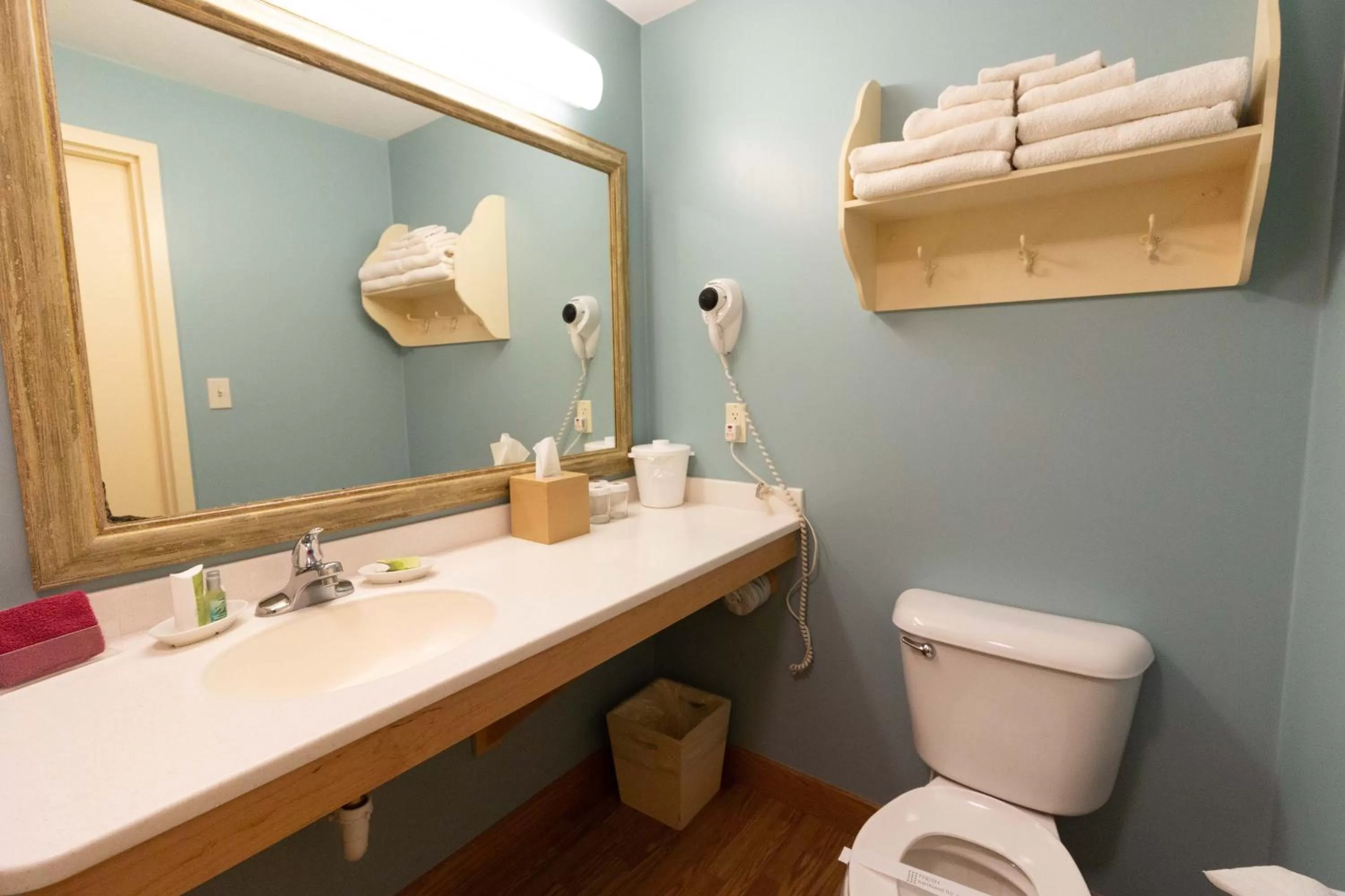 Bathroom in Essenhaus Inn & Conf. Center