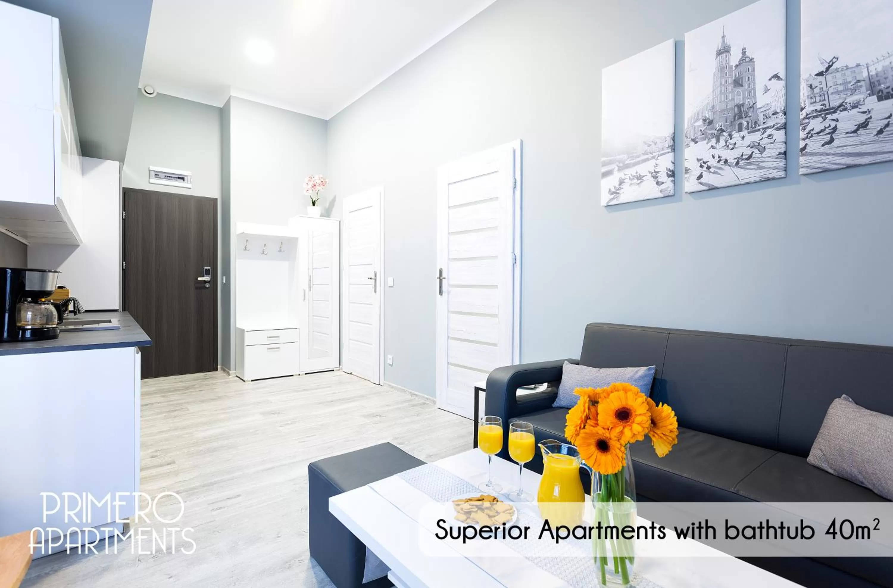 Living room, Kitchen/Kitchenette in PRIMERO Elegant Apartments KRAKÓW Old Town