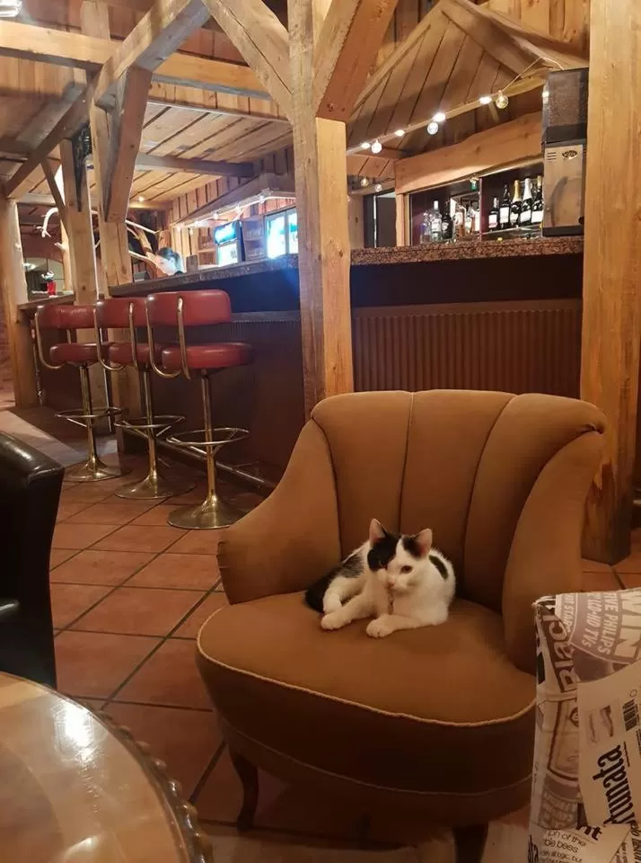 Lounge or bar in Hotell Wettern