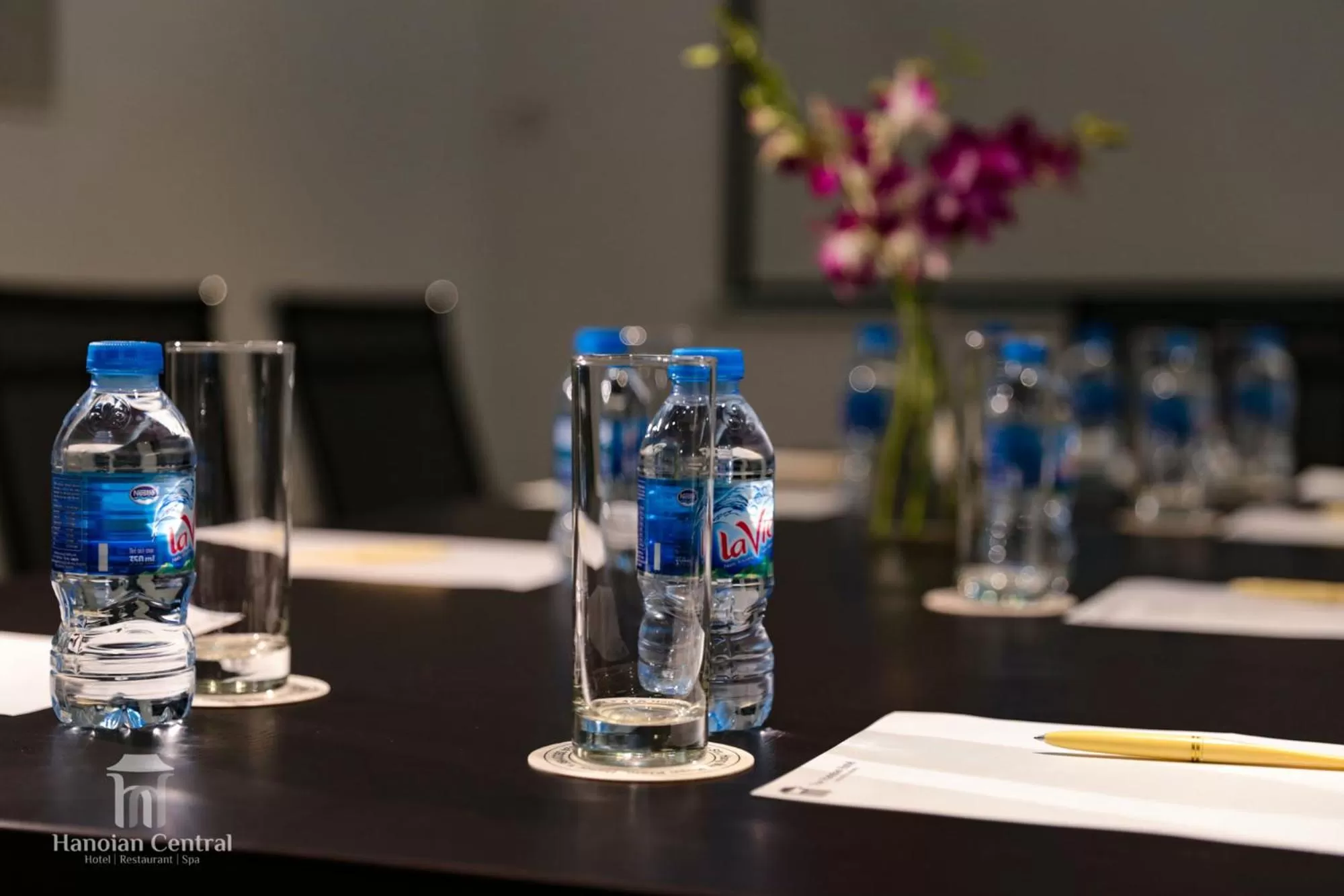 Business facilities in Hanoian Central Hotel & Spa