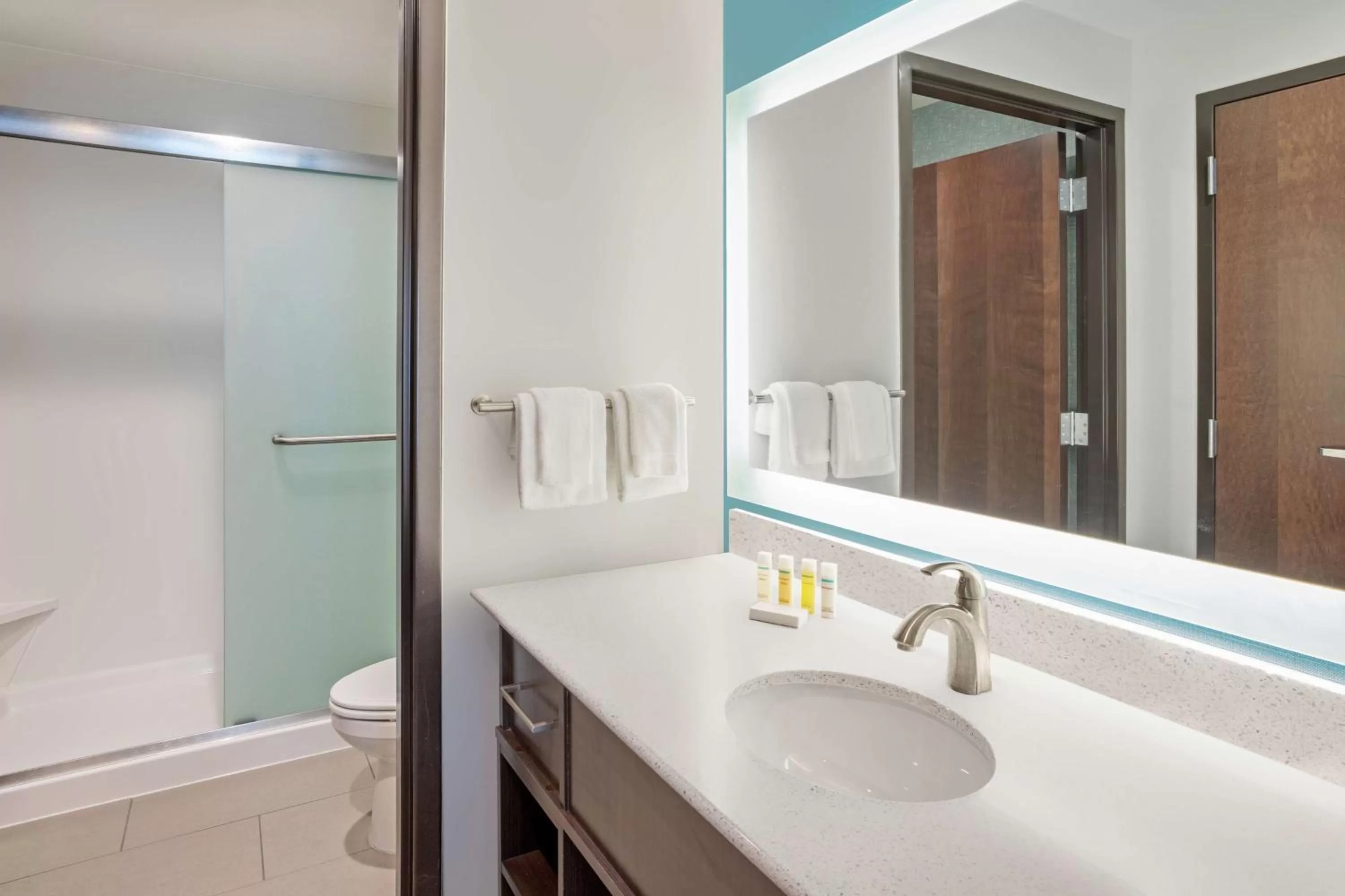 Bathroom in Homewood Suites By Hilton Edina Minneapolis