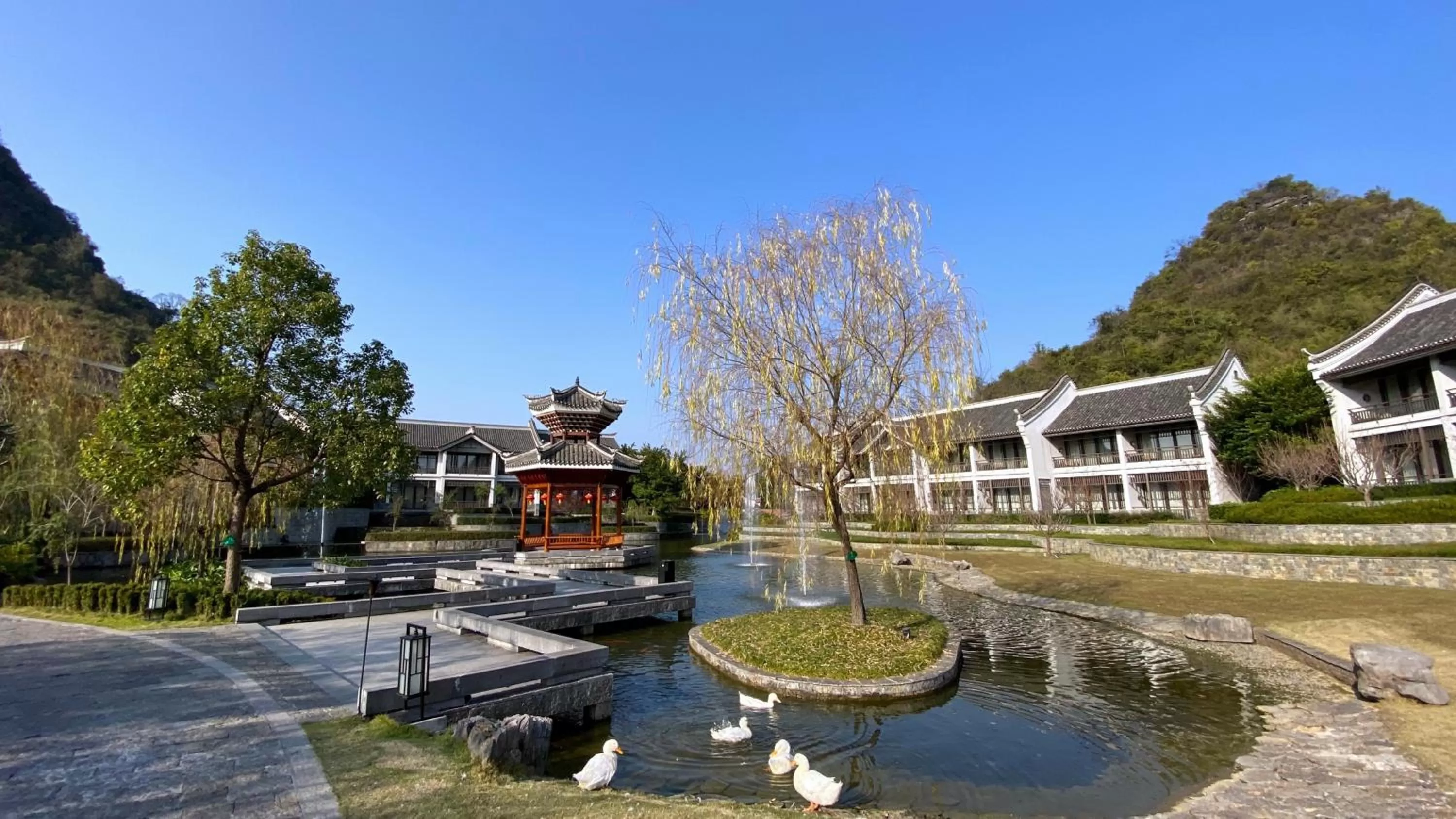 Animals in Banyan Tree Yangshuo