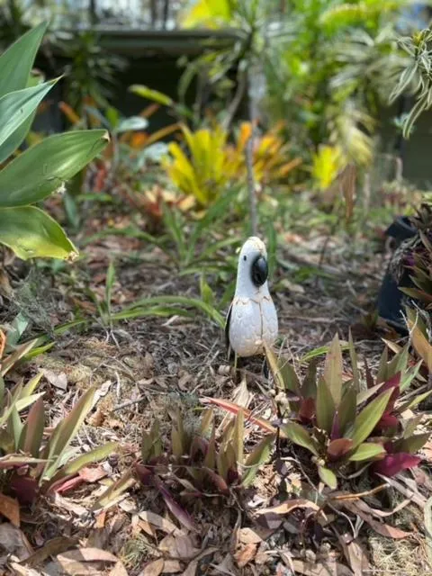 Colonial Village Resort