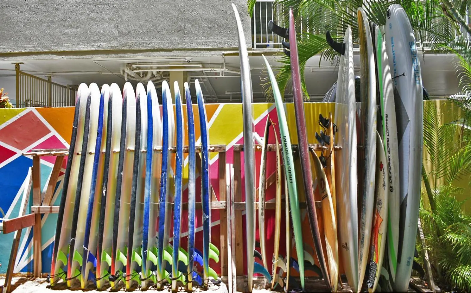 Fitness centre/facilities in Polynesian Hostel Beach Club