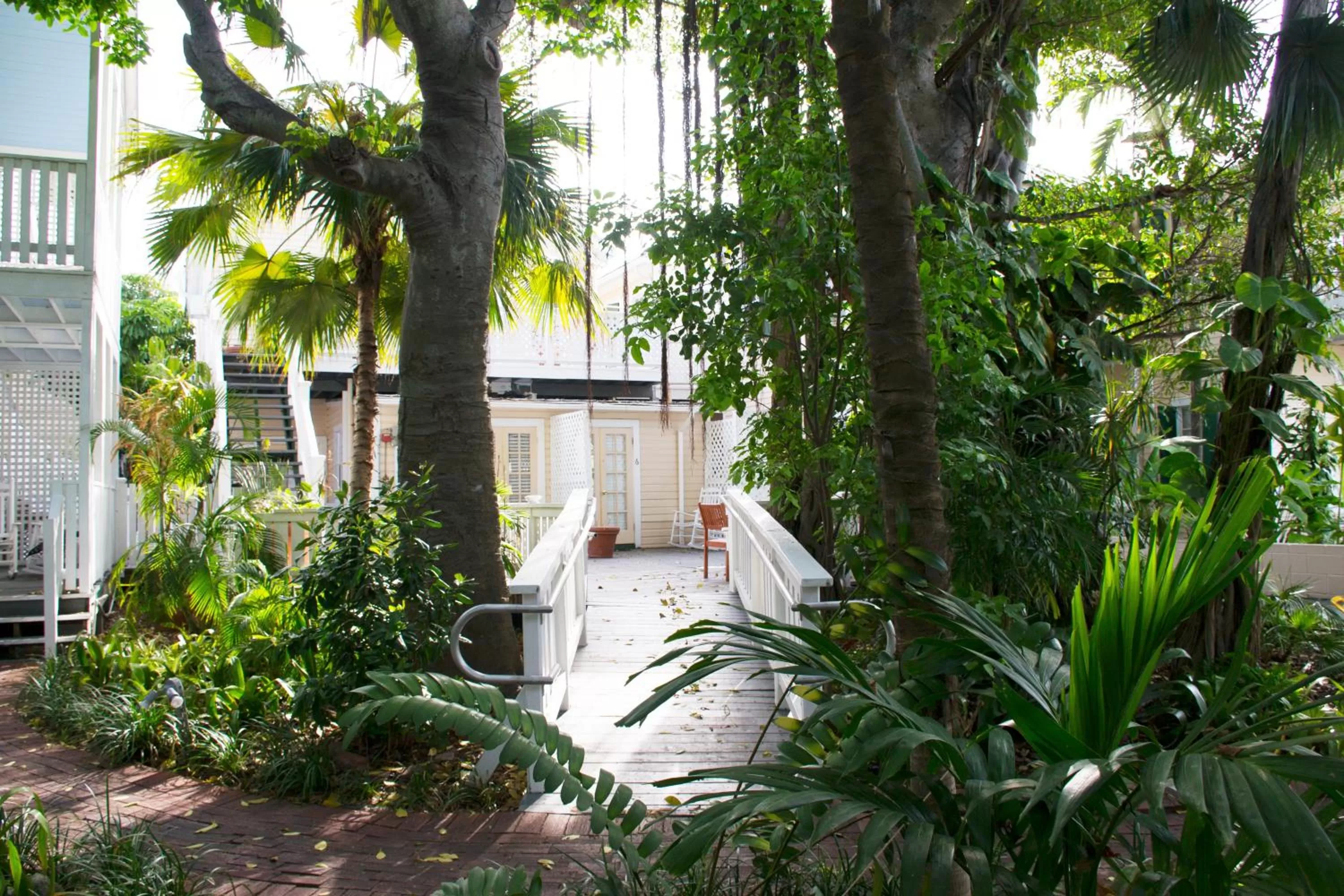 Garden in Duval House