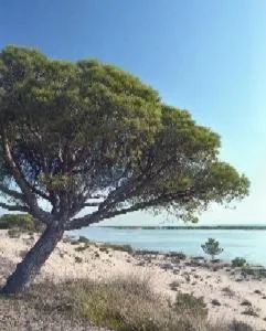 Area and facilities in Hotel San Miguel