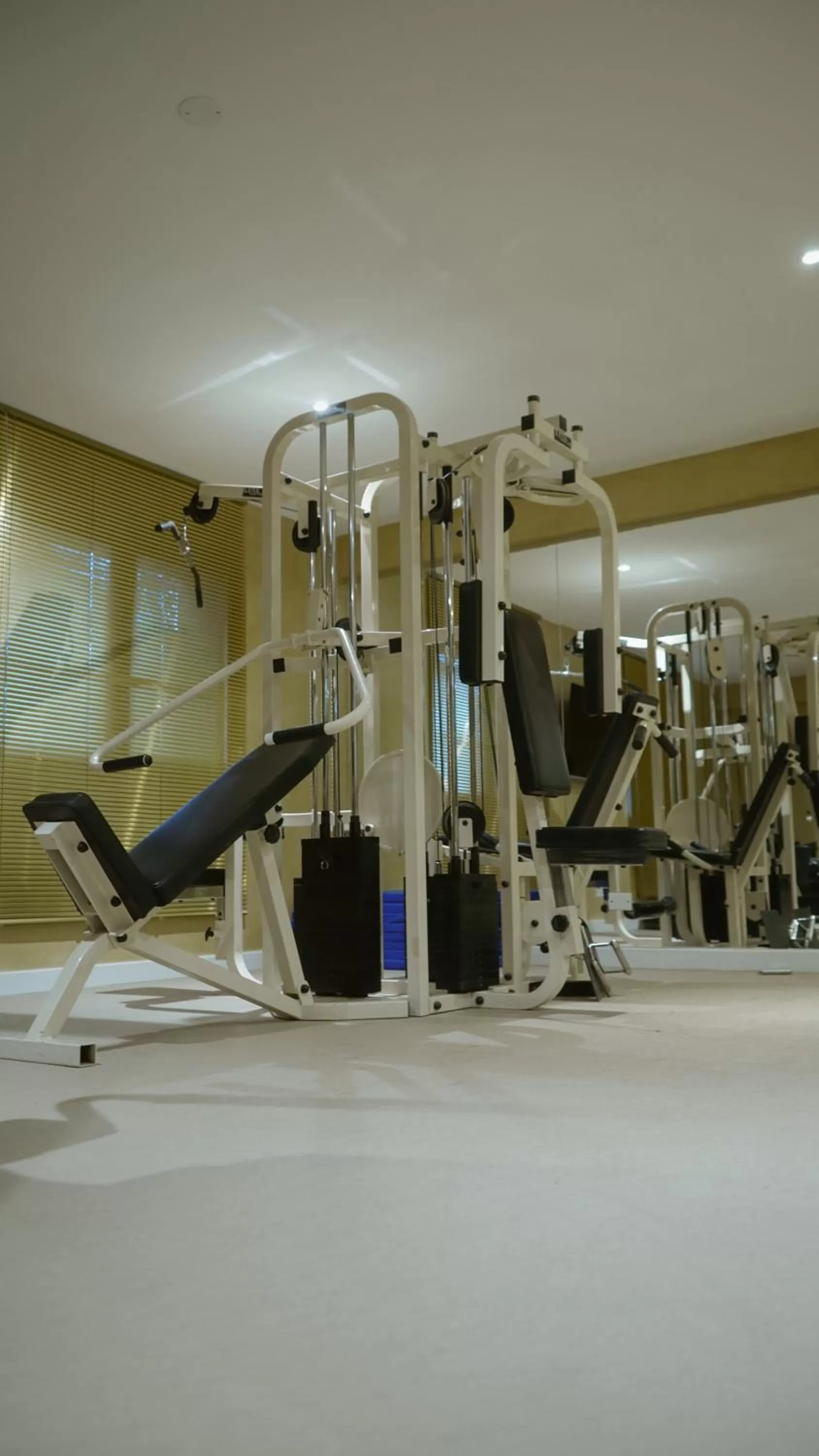 Fitness centre/facilities in Hotel Albatros