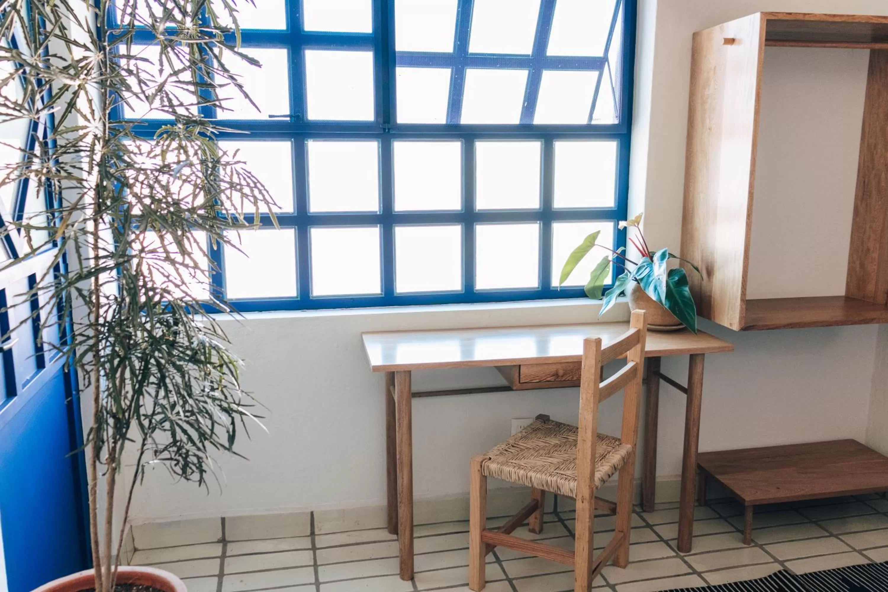 Casa Kali by Barrio México