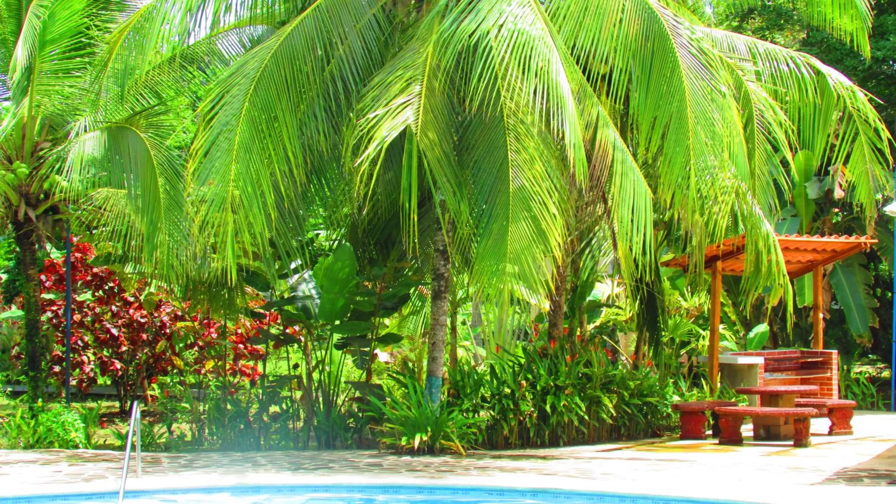 Garden in Hotel Playa Westfalia